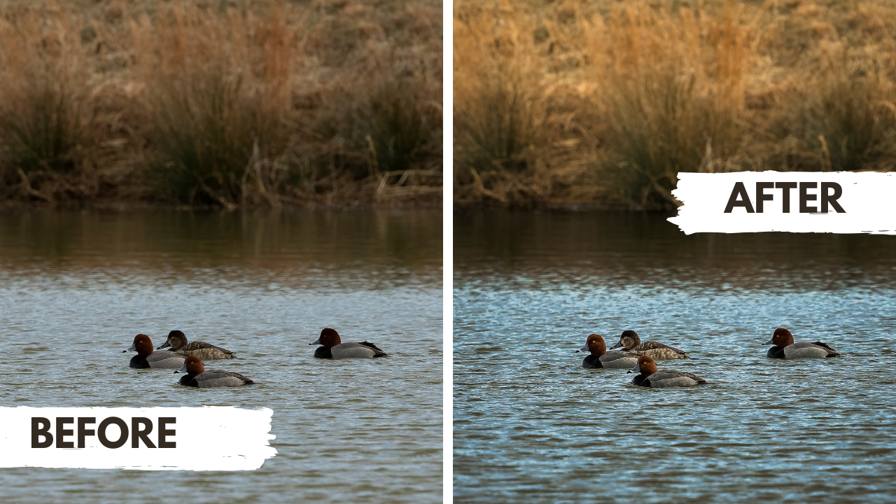 Understanding Lightroom Presets