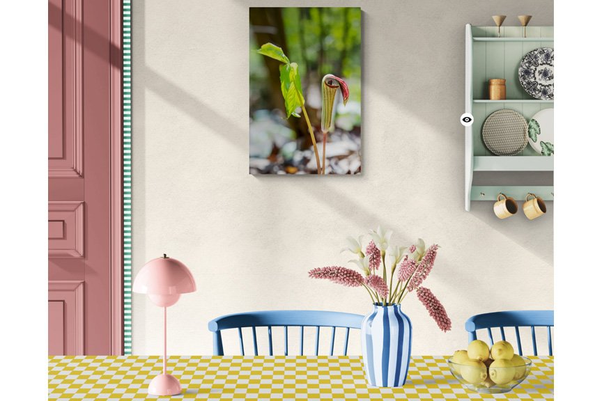 Jack-in-the-Pulpit_4x5_Room1.jpg