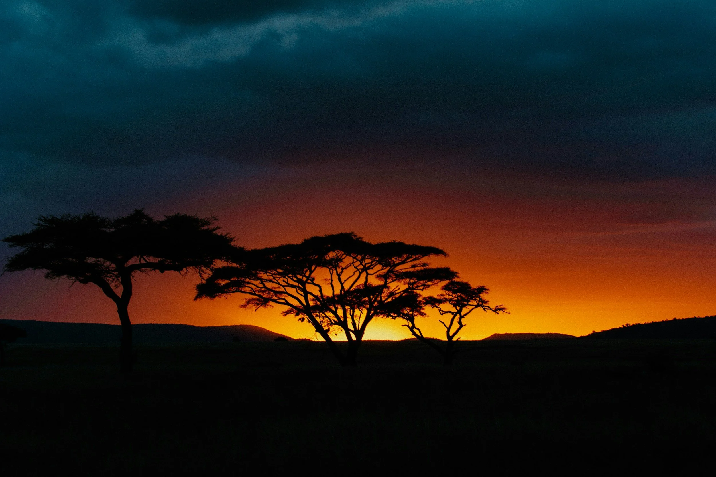 A Family's Dream Safari in Tanzania | Aurum Travel