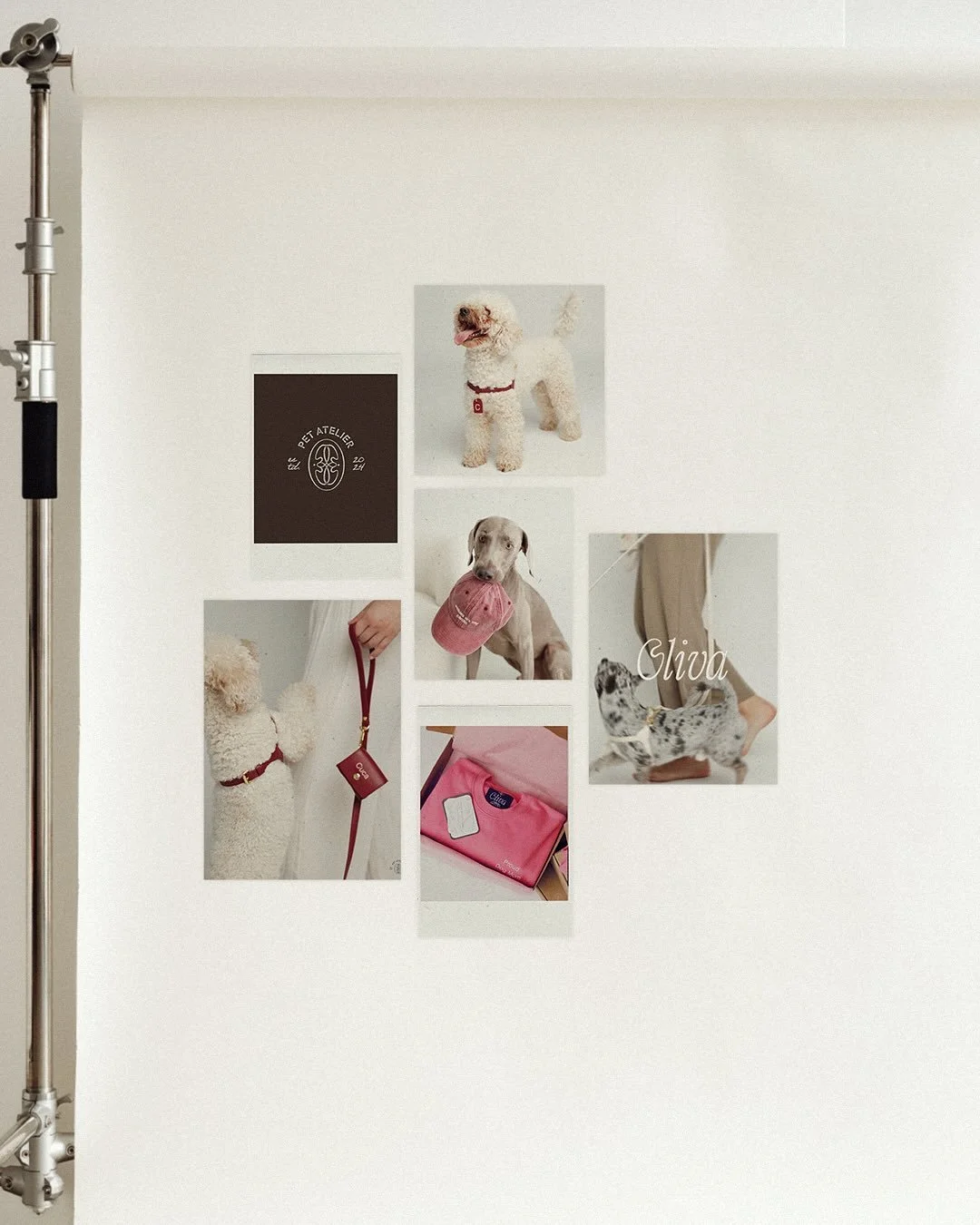 As a dog mom myself, when Mireia reached out to me to help create the brand identity for @oliva_pet_atelier , I was honestly flabbergasted! 🫶🏻✨ 
Not just because I already knew Mireia and wanted to live up to her expectations (and make everything p