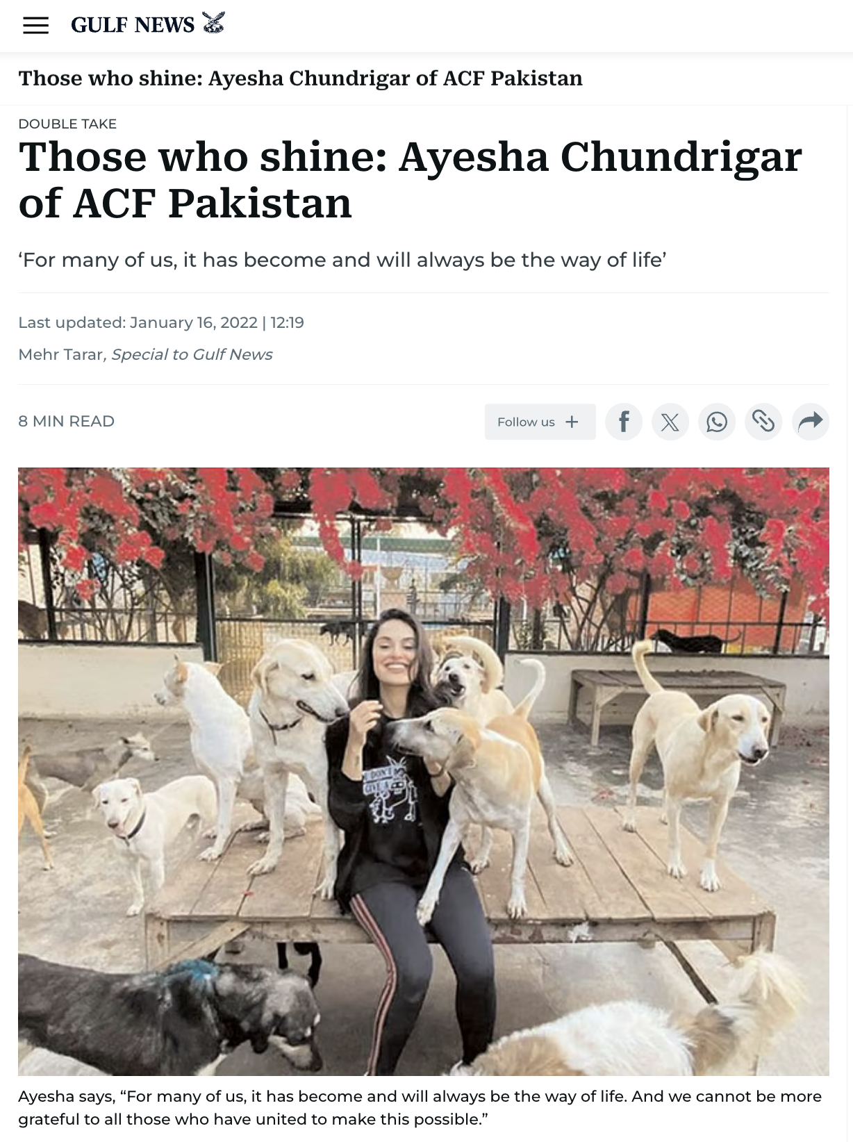 Media — ACF Animal Rescue