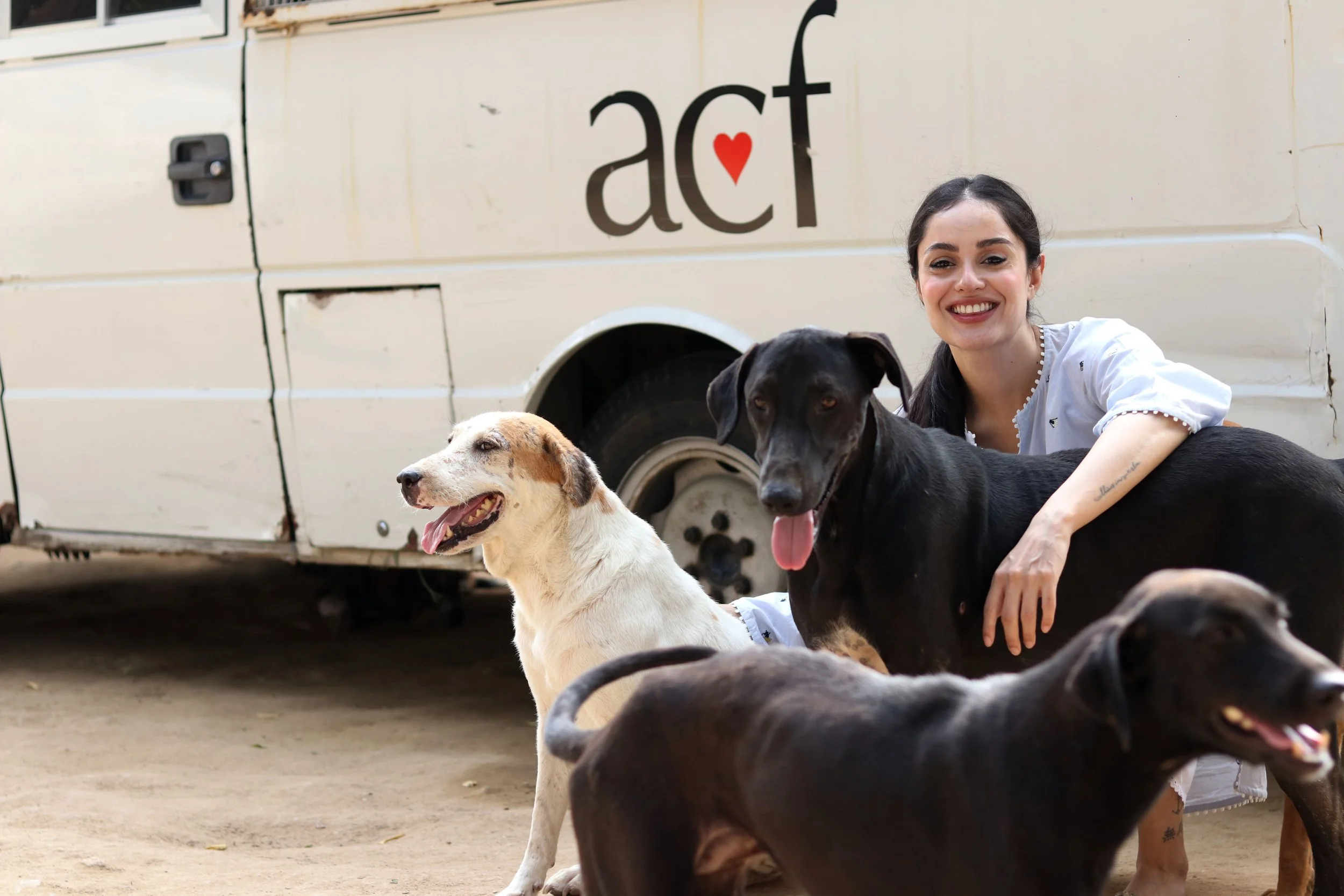 ACF Animal Rescue