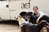 ACF Animal Rescue