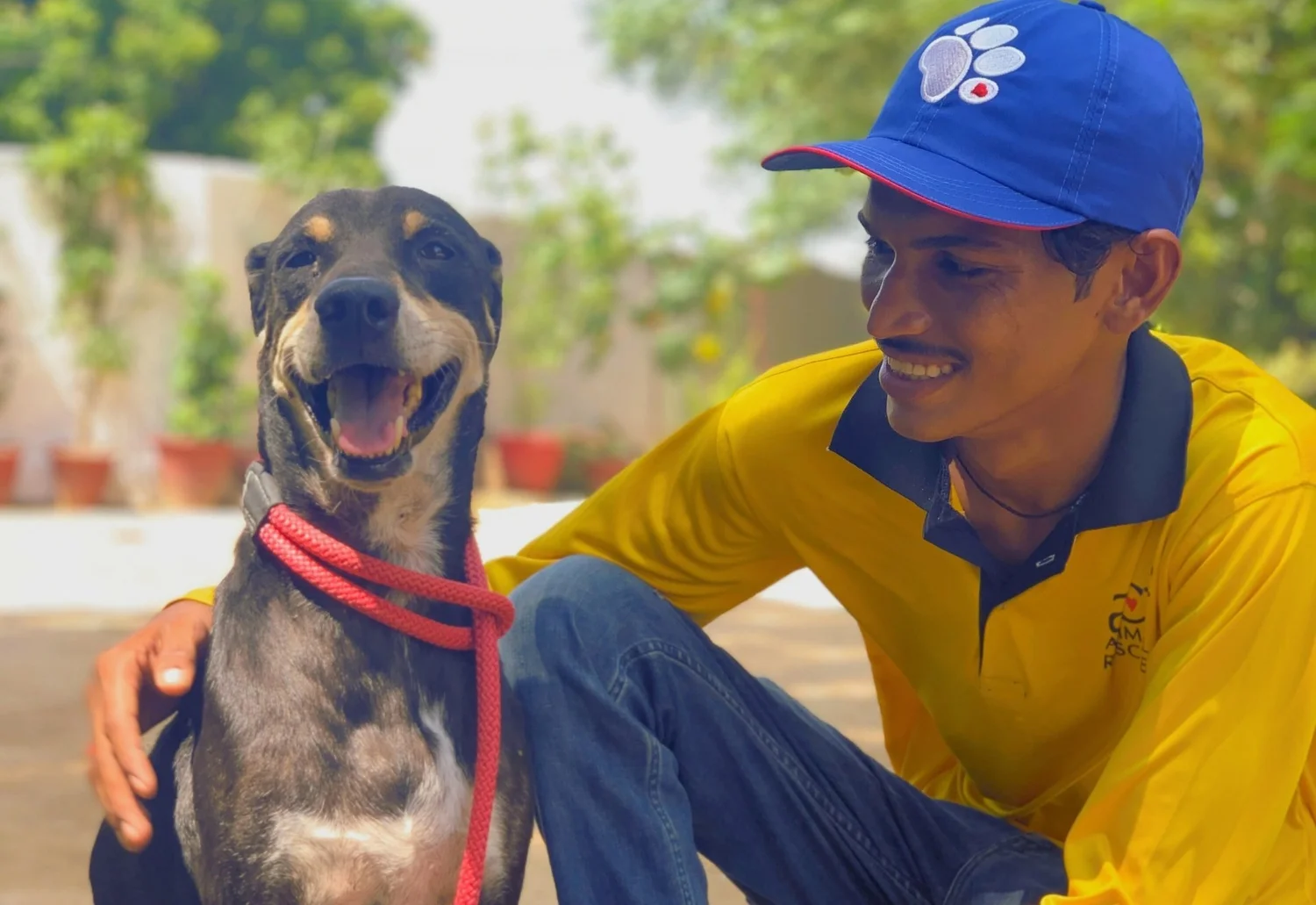 ACF Animal Rescue