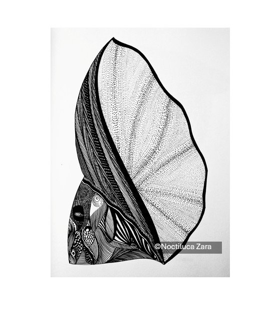 Whispers from the past