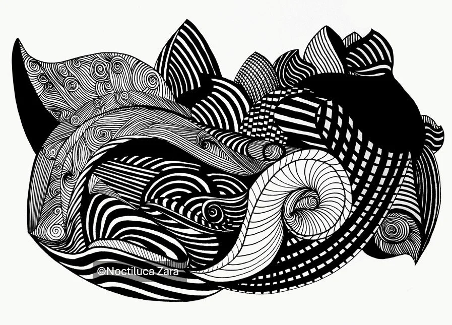 Striking black and white abstract art featuring intricate swirling patterns and geometric shapes.