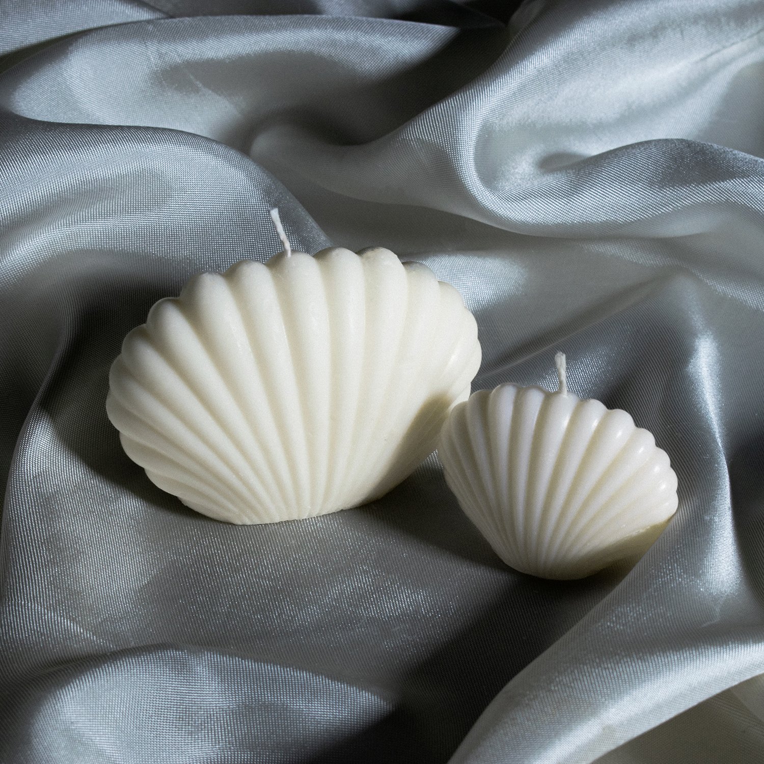 seashell duo.jpg