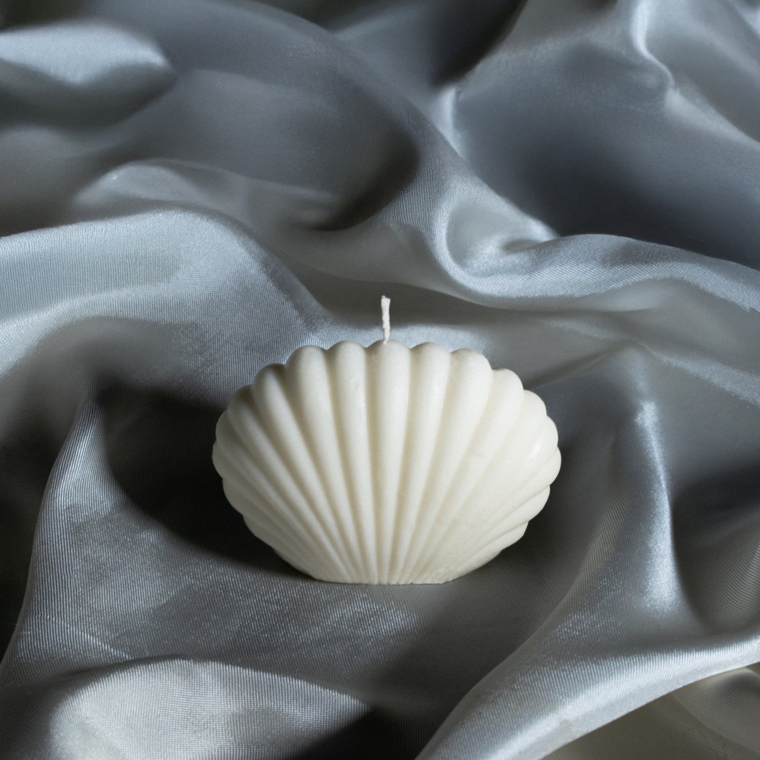 Small Seashell