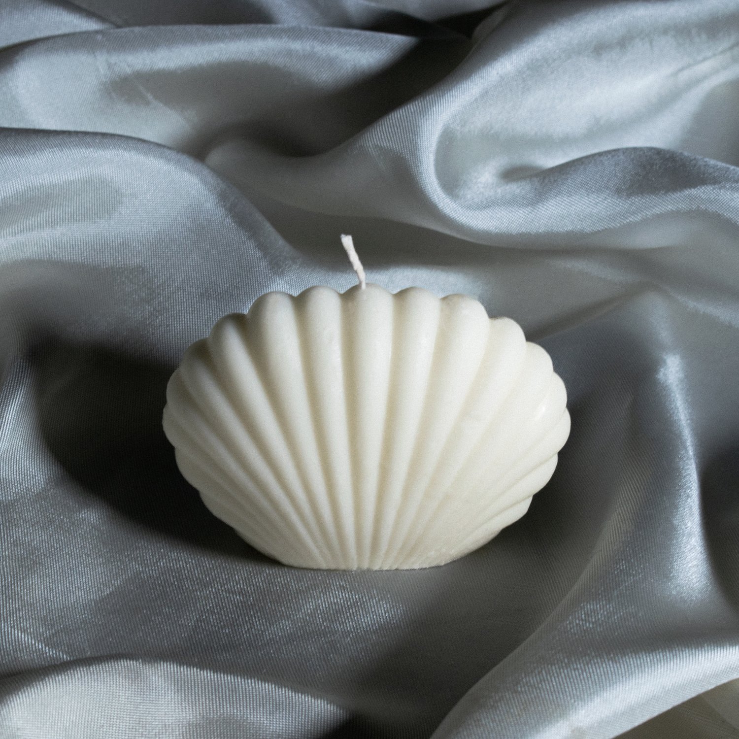 seashell.jpg