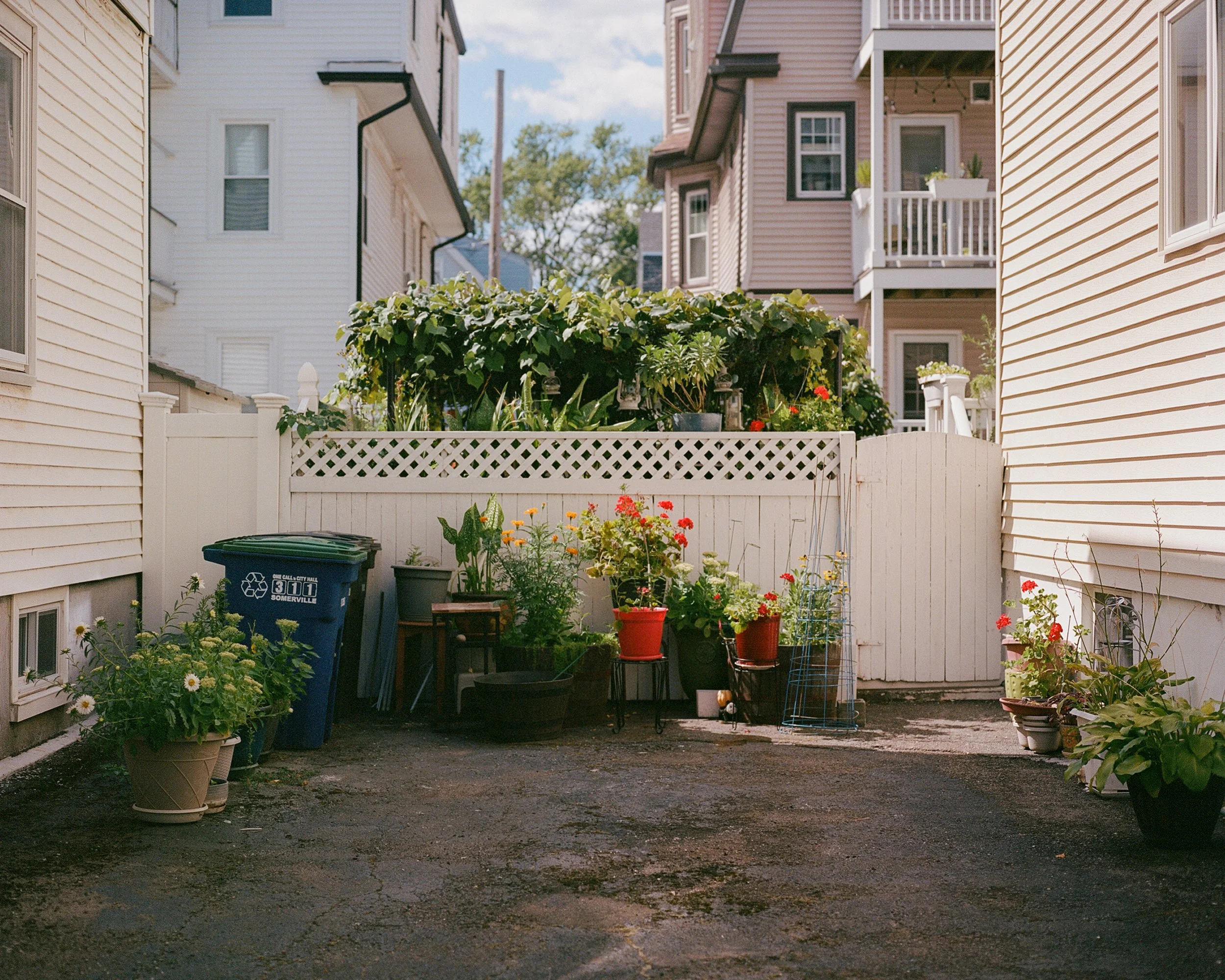 "Driveway Diorama." Photo by Lauren O'Neil