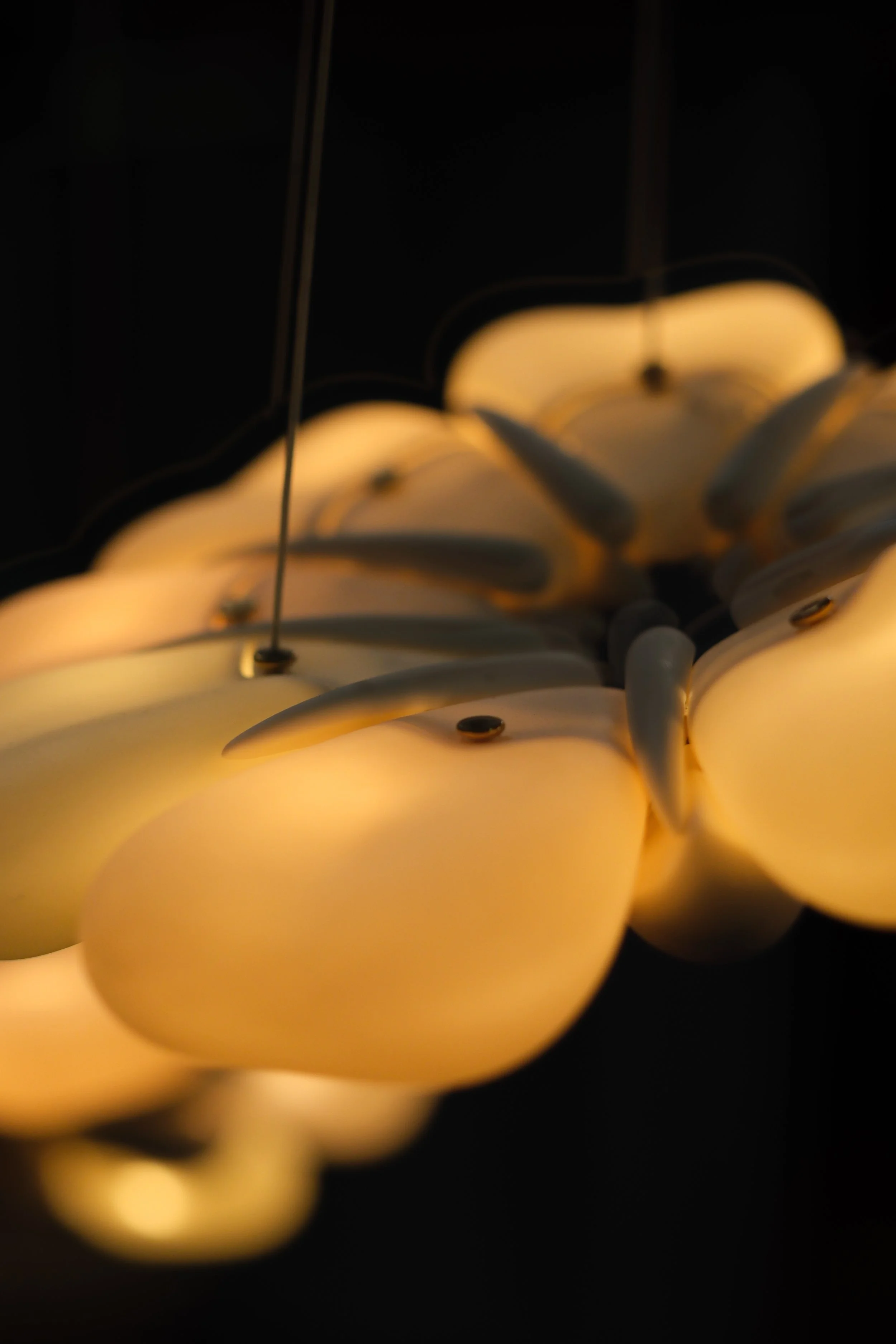 15 GS PDW24 -  ©MARIKA CAPUTO.JPG.JPG