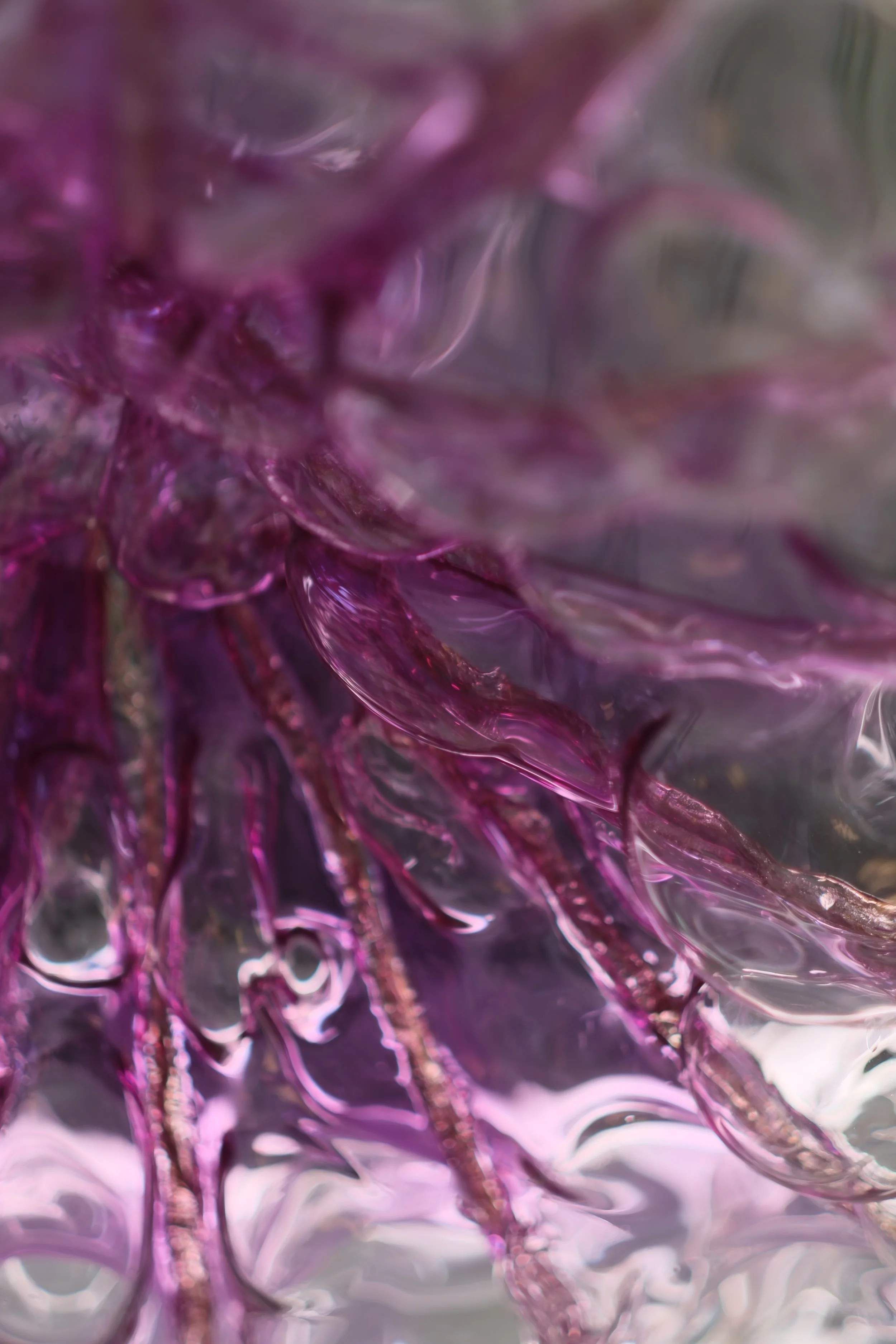 09 GS PDW24 -  ©MARIKA CAPUTO.JPG