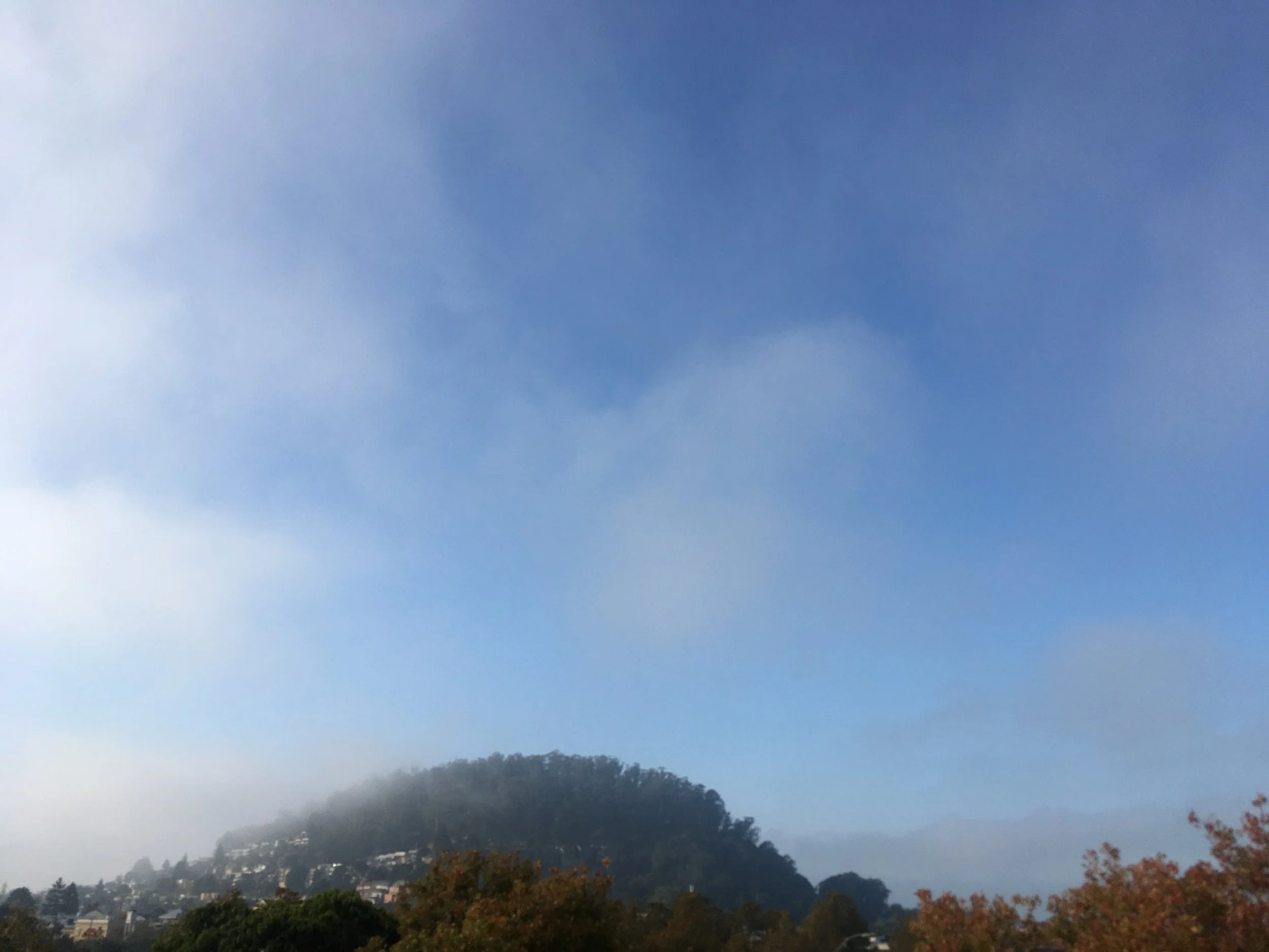 albany hill sunmist.JPG