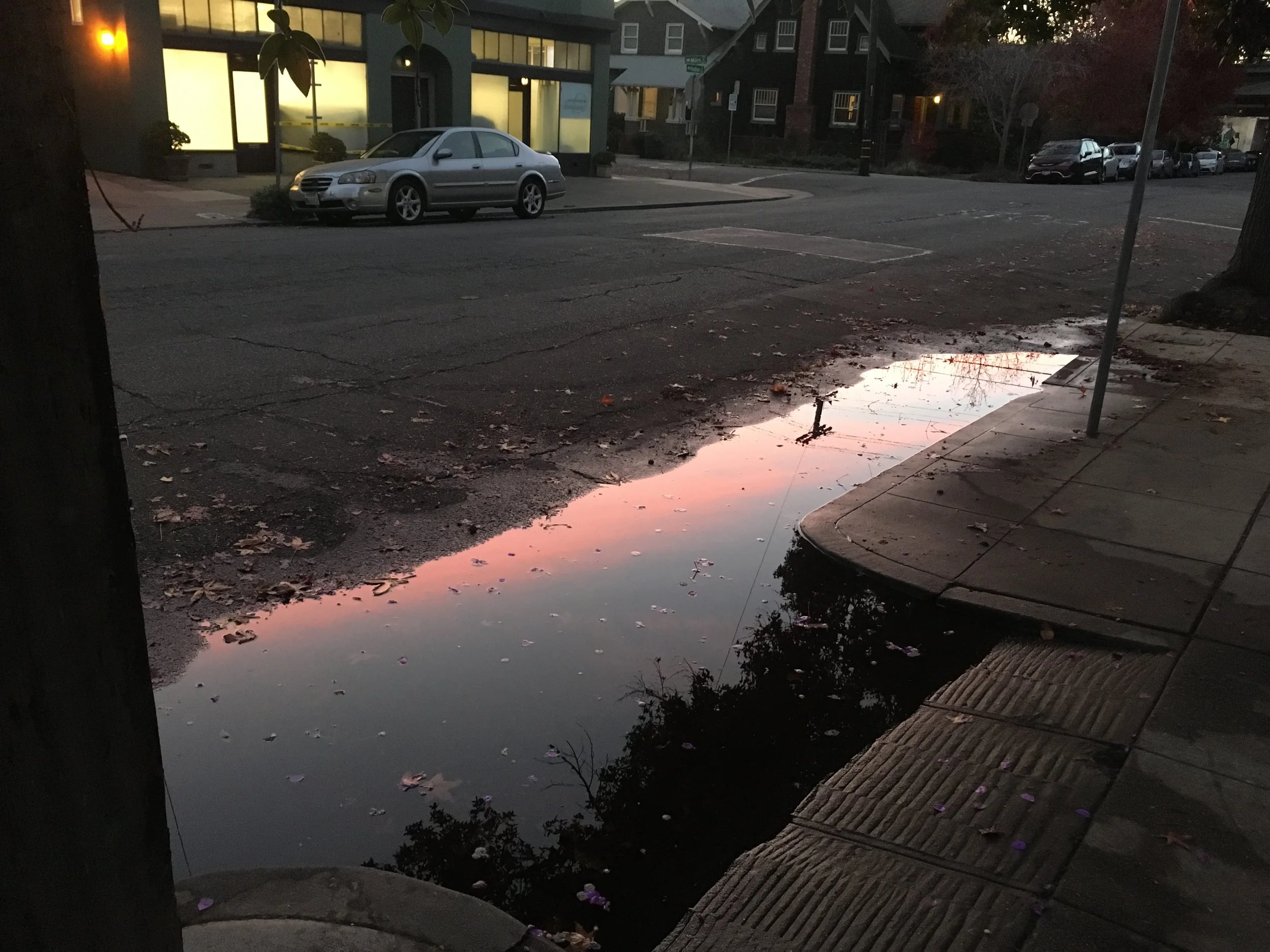 glowing puddle.JPG