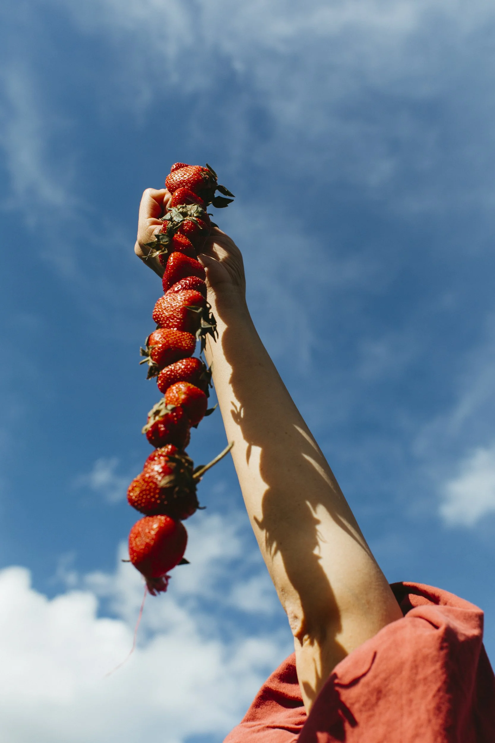 220610_DANIELLE_MADDY_STRAWBERRIES_ROSES-9452_WEB.jpg