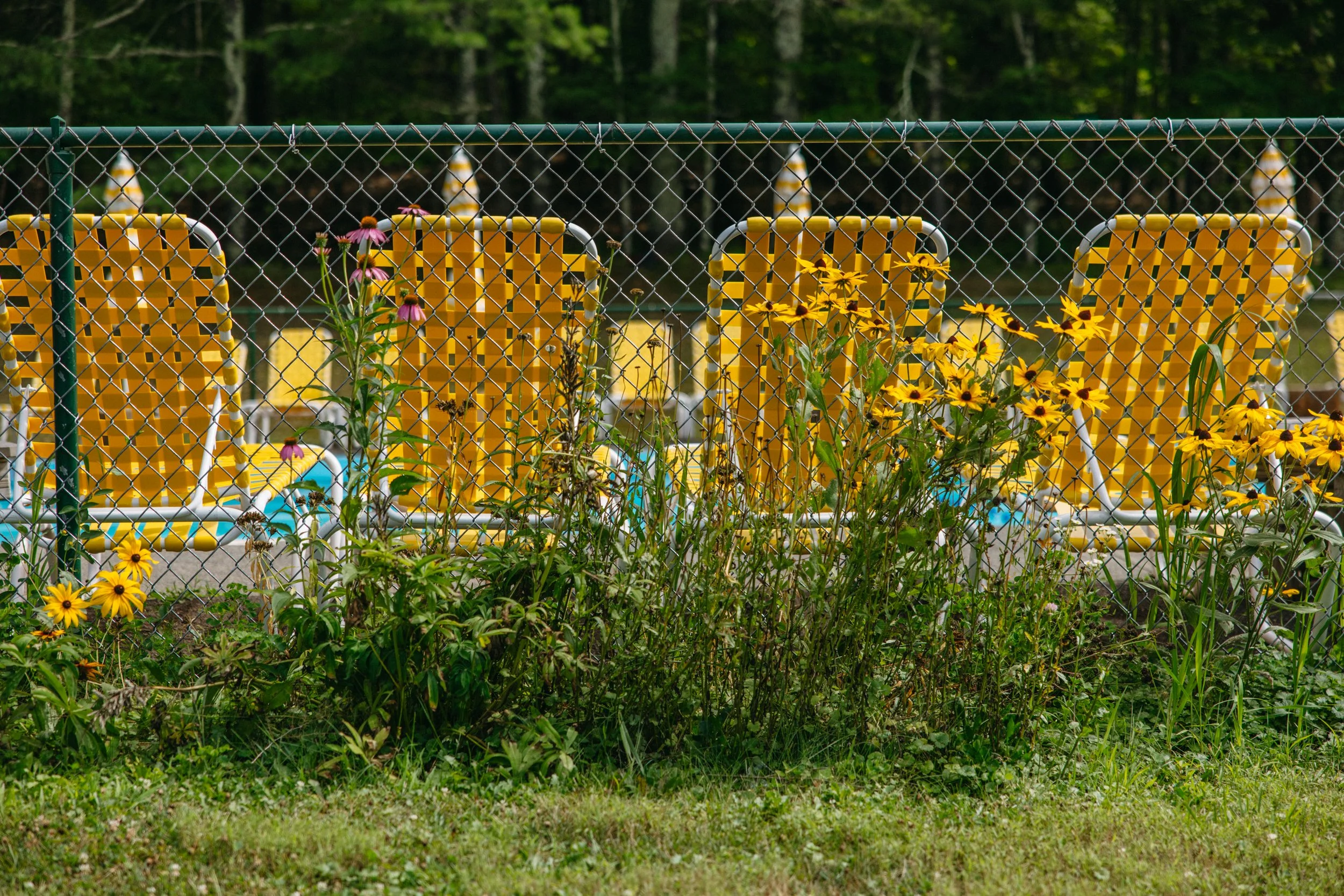 240718_GLEN_FALLS_HOUSE_SUMMER-2024-2639.jpg