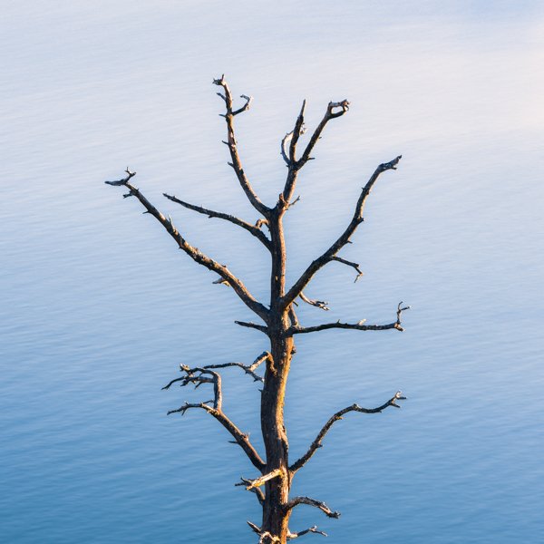 Ilkka Hietanen Photography