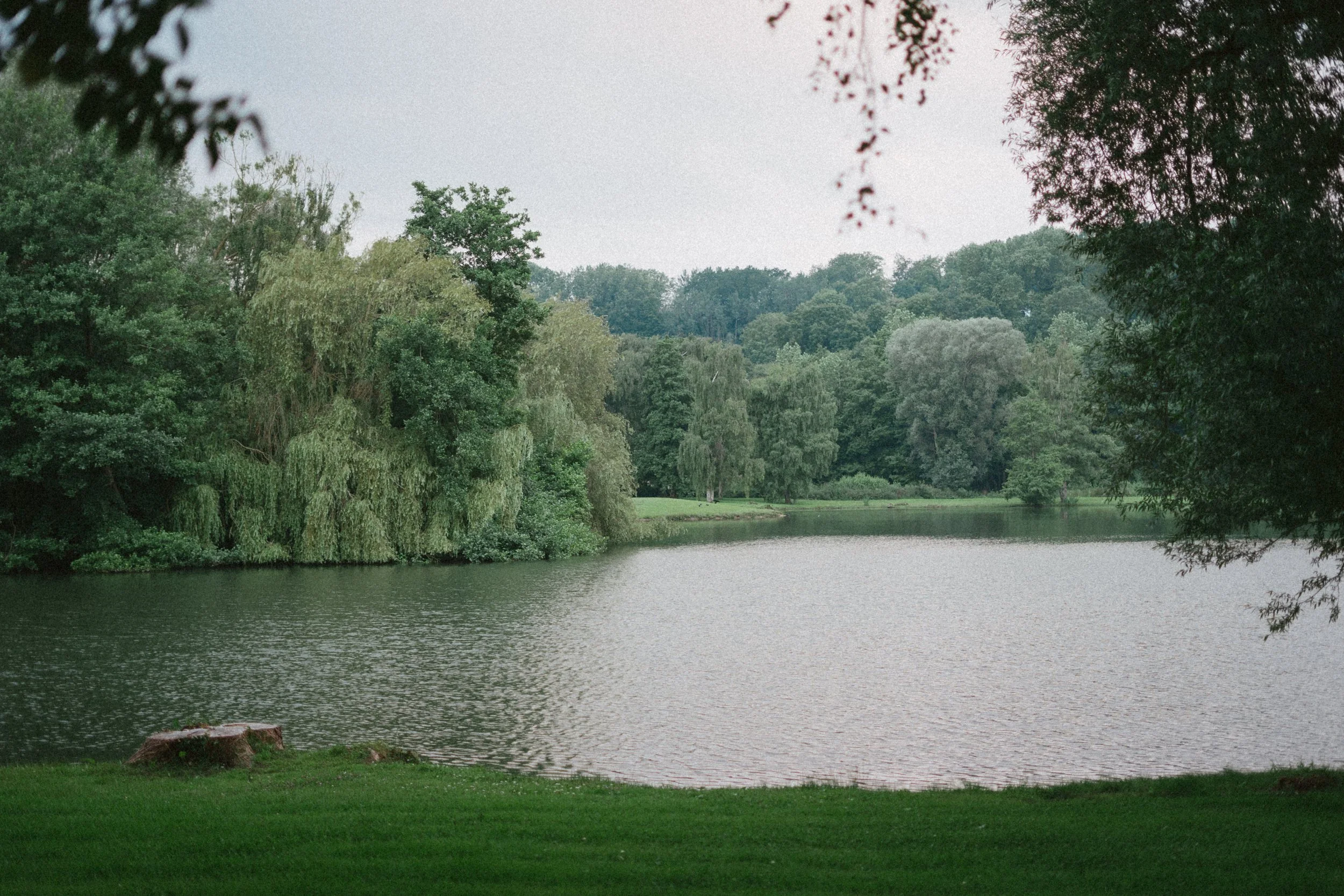 Een rustiek landschap met een rustig meer, omgeven door weelderige groene bomen en struiken, met een overdekking van grijze wolken in de lucht.