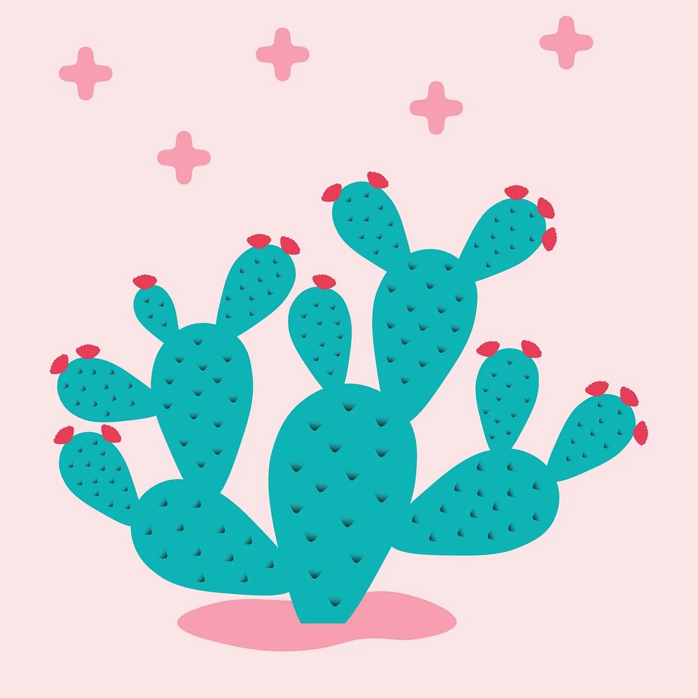 blooming prickly pear cactus