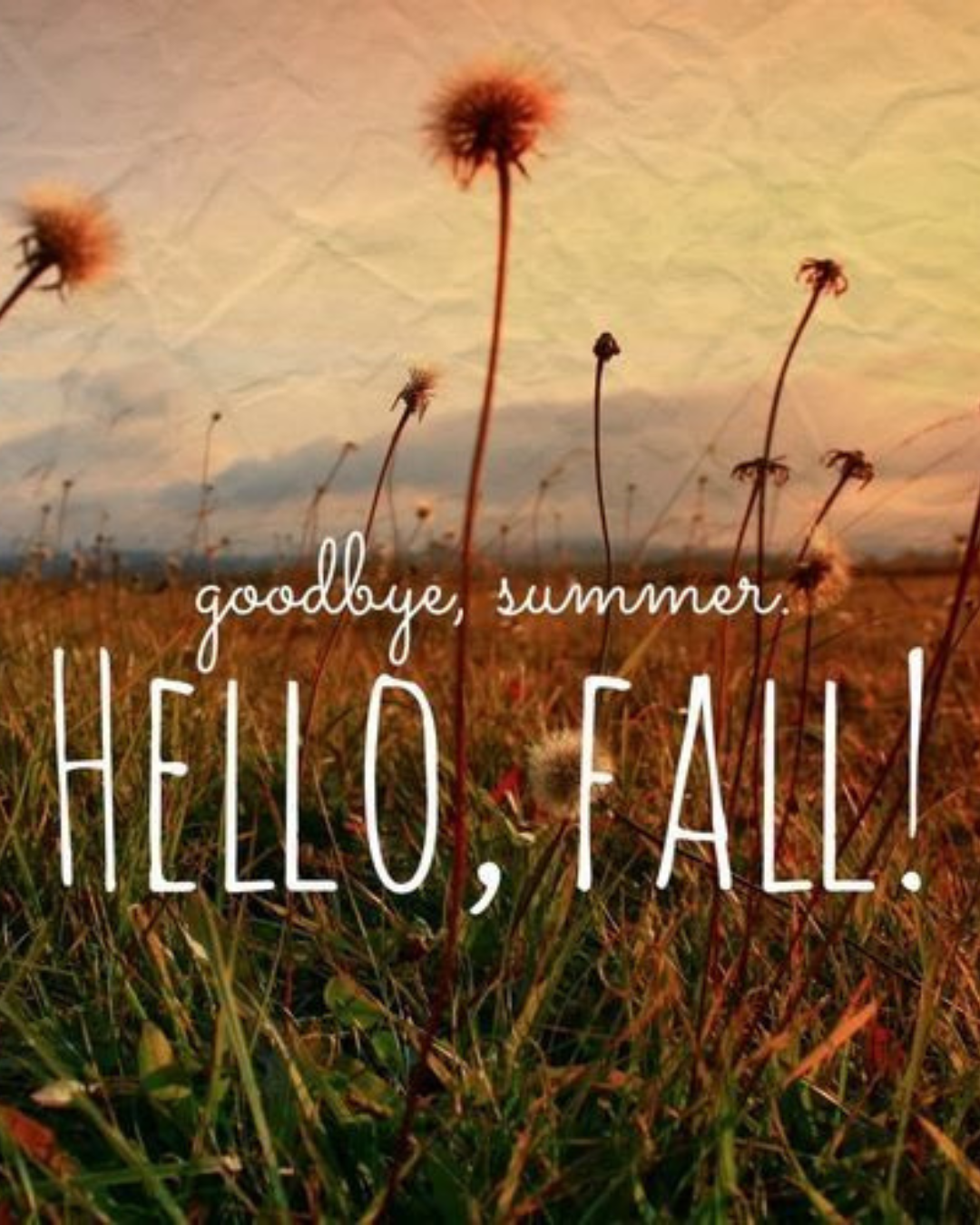 Goodbye Summer, Hello Fall: Transitioning Your Home with Ease