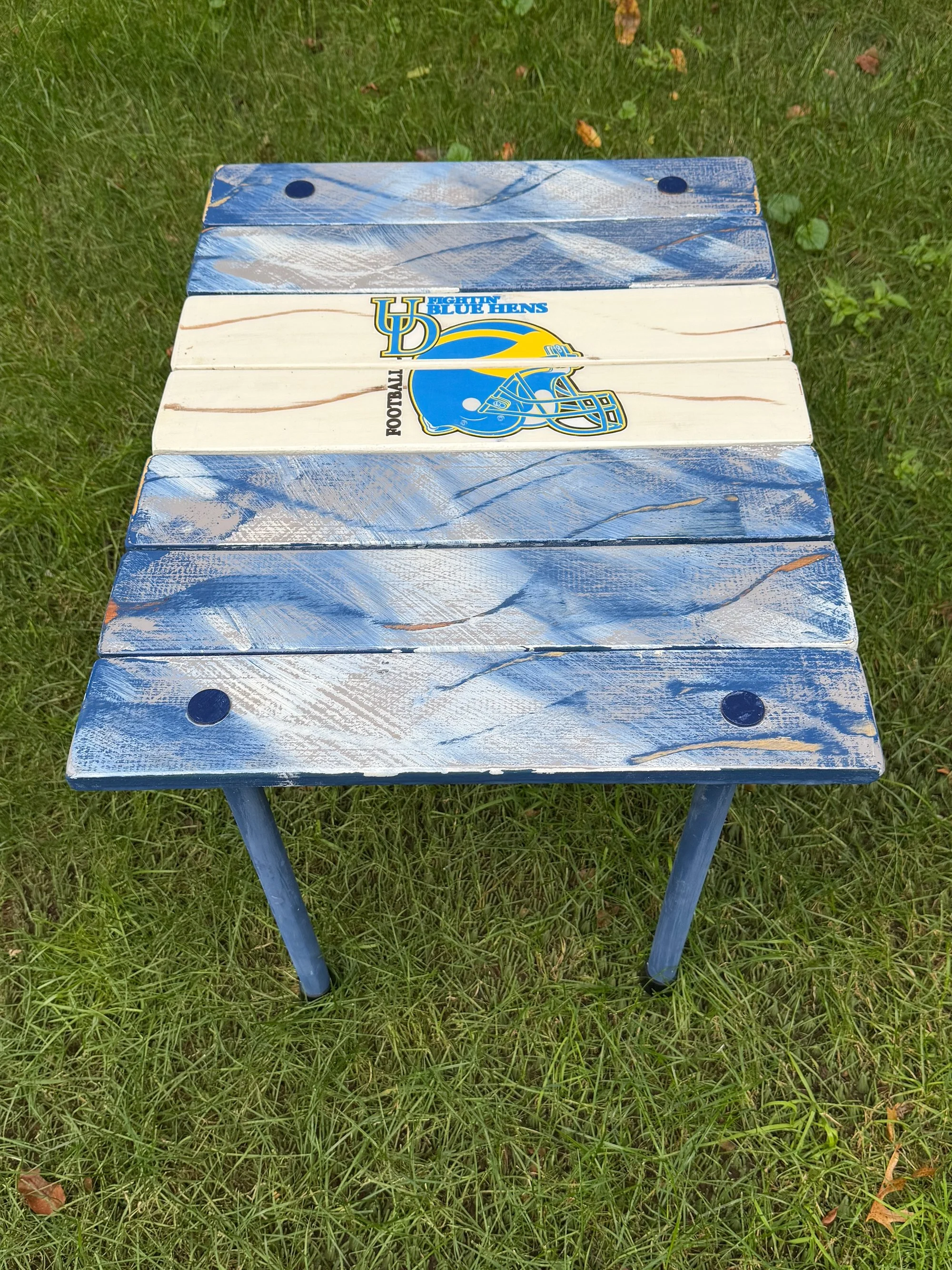 Deleware-roll-up-table-in-a-bag-on-grass.jpeg