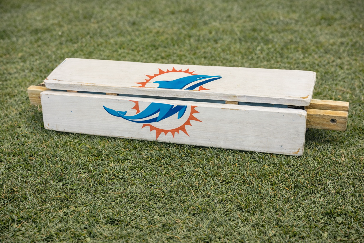 miami-dolphins-roll-out-table-on-grass.png