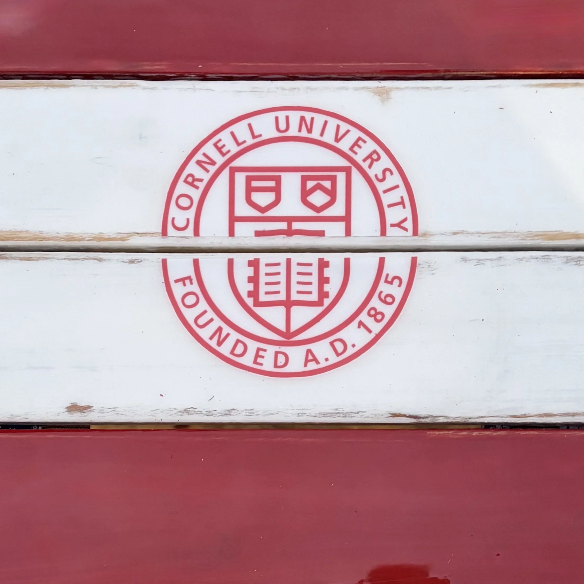 cornell roll out table in a bag close up view of logo