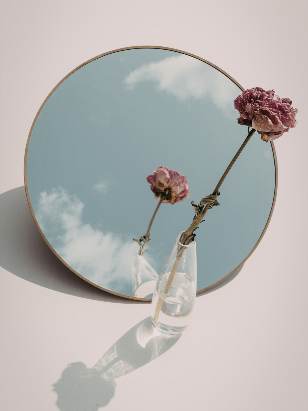 Spiegel auf rosa Fläche reflektiert Himme und Blume