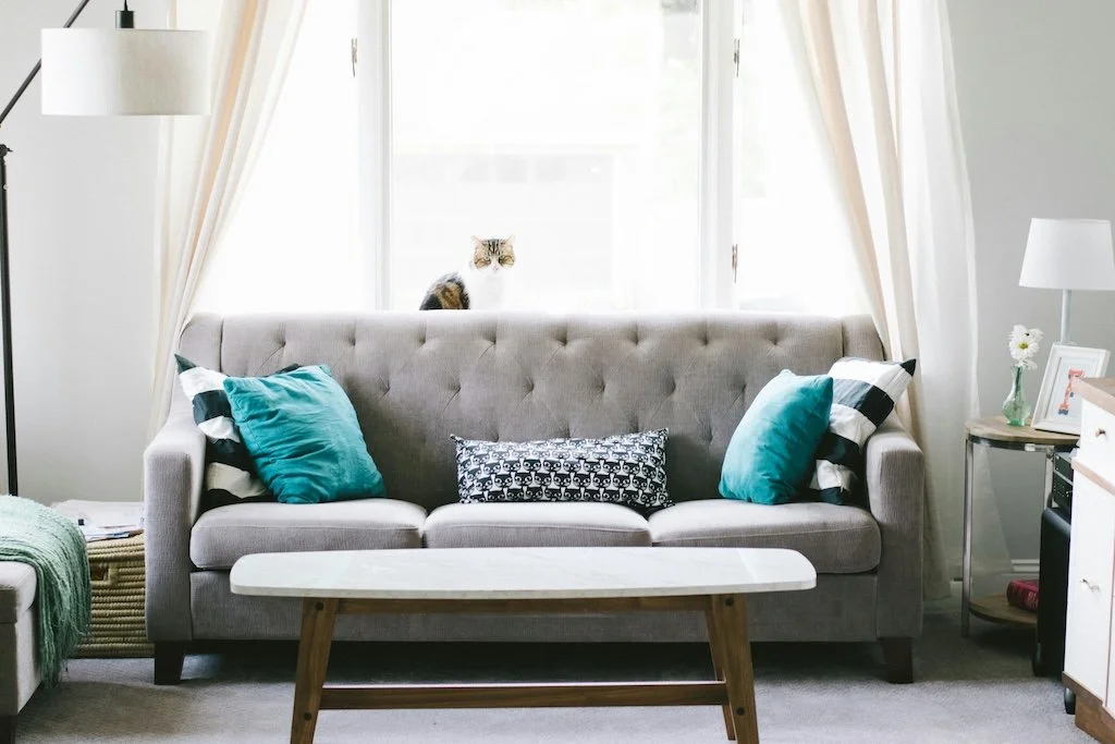 Clean and tidy residential living room in NYC maintained by Hudson Yards Clean house cleaning service