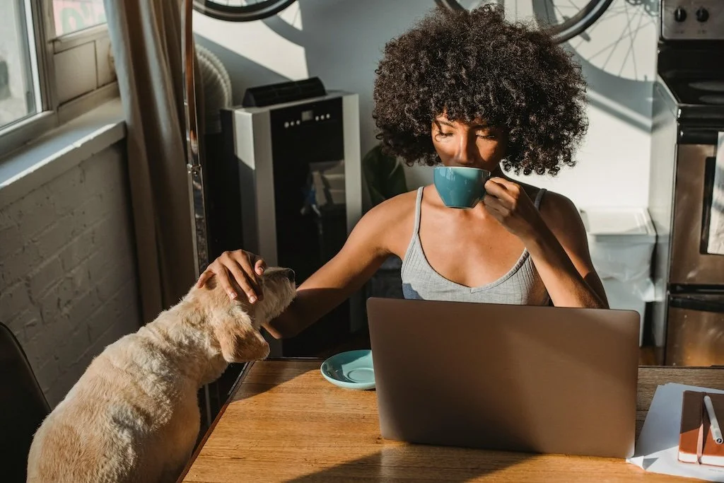 Woman on laptop petting a dog while booking a cleaning.