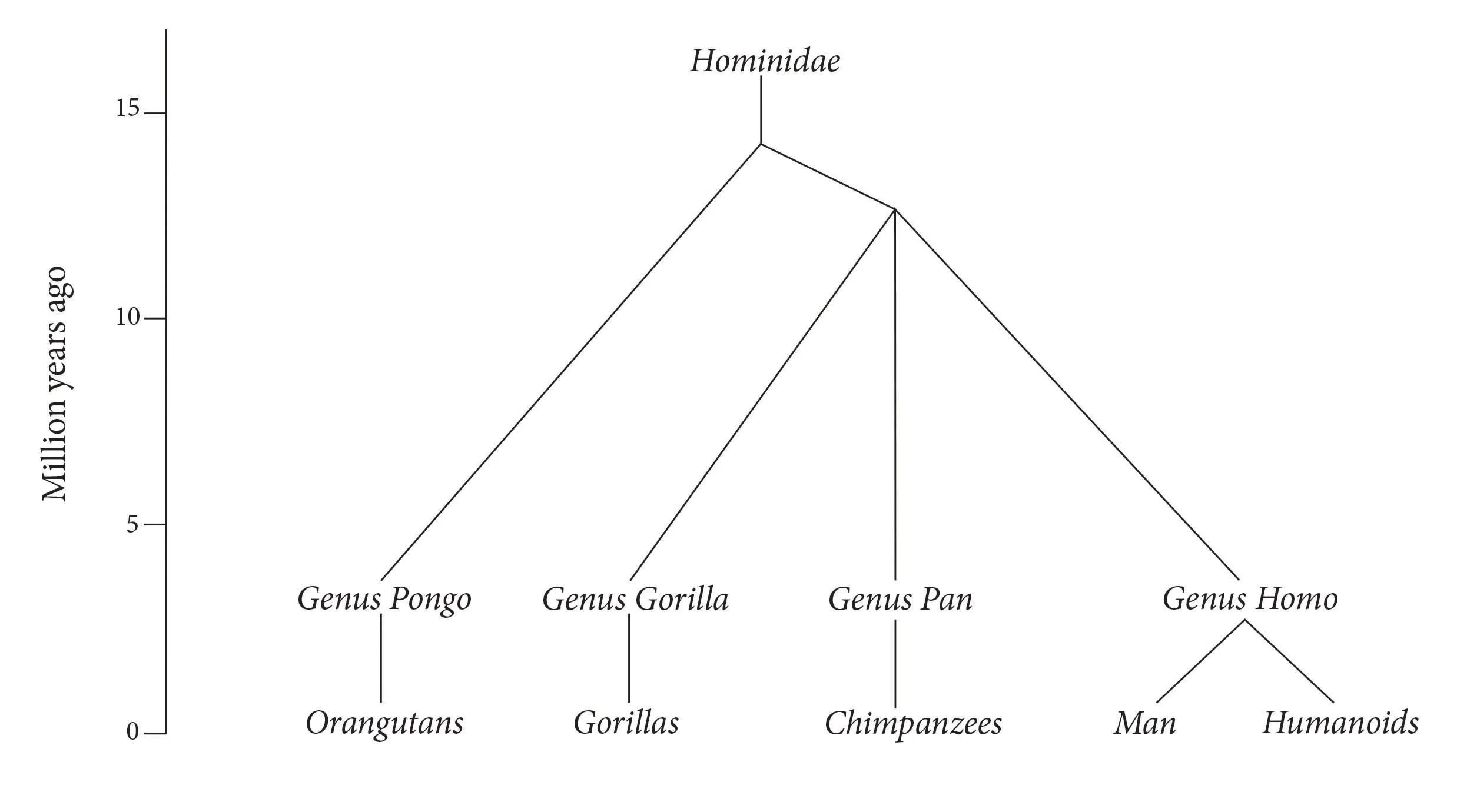 33 Evolution of Humanoids resized flat cymk.jpg