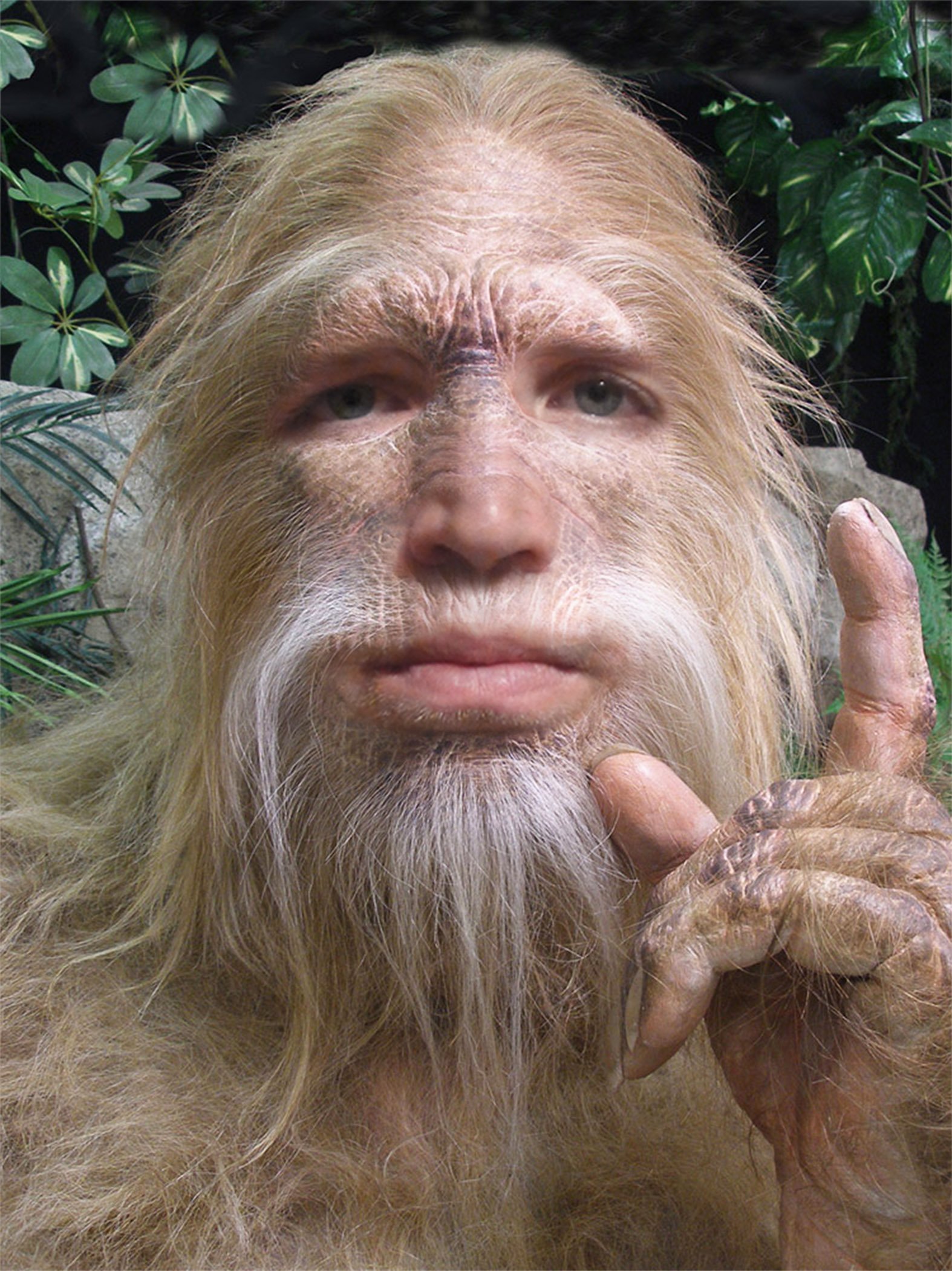 Portrait of the Hairyyeti
