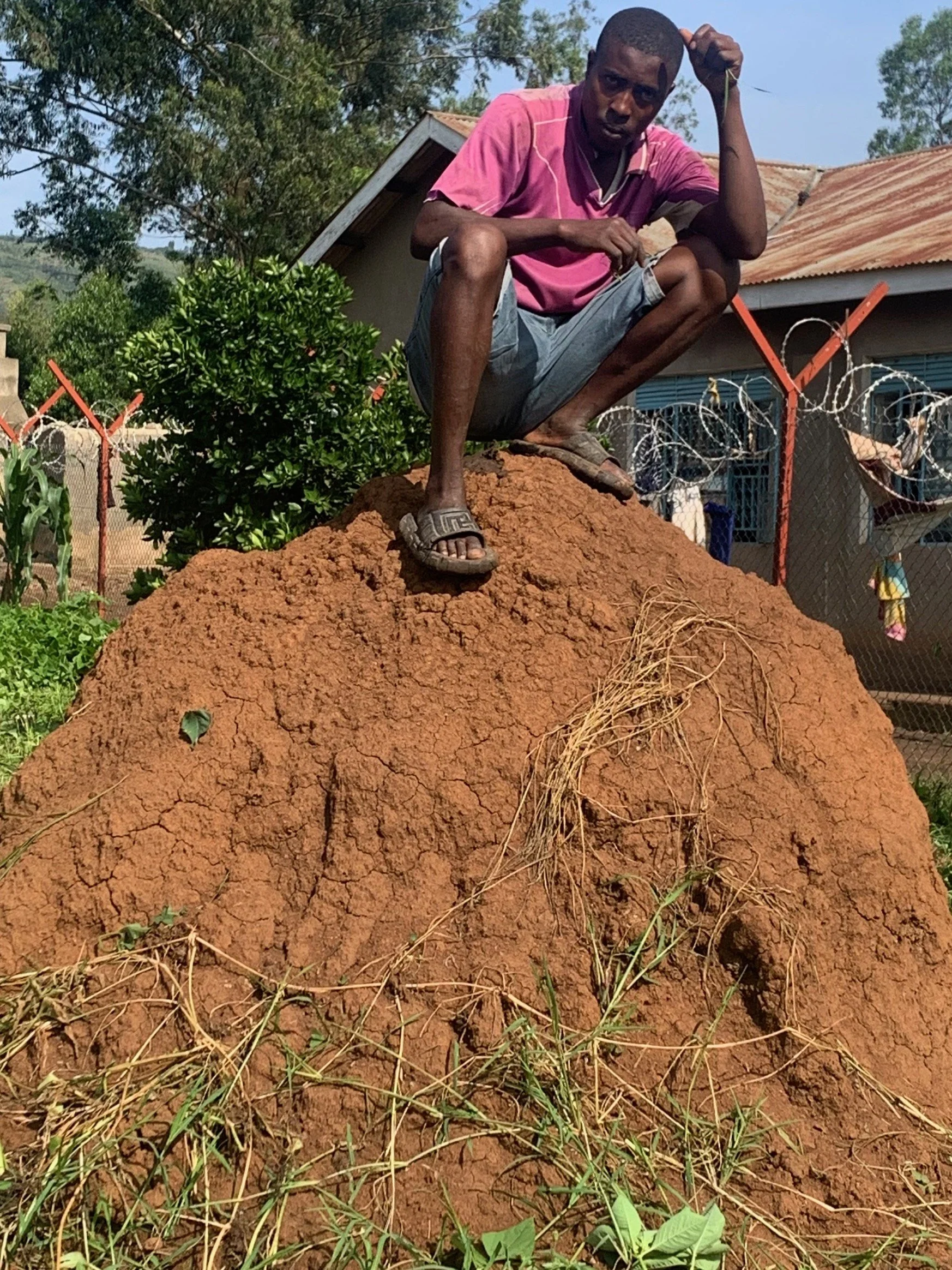 A worker contemplating the termite mound which is within the footprint of the new dining hall, and which he is about to level.