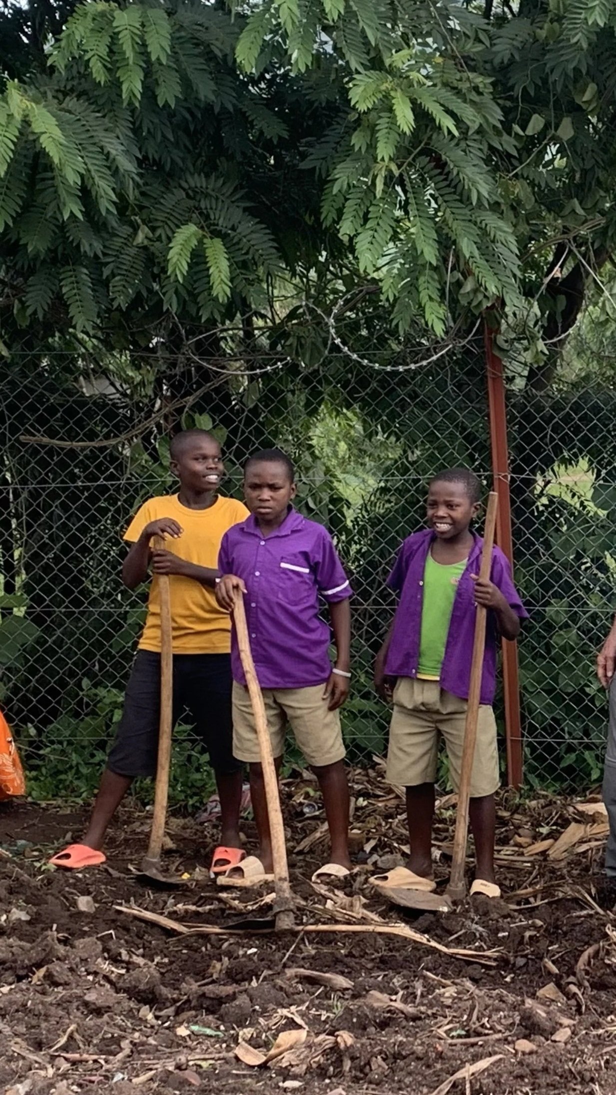 School Garden Program