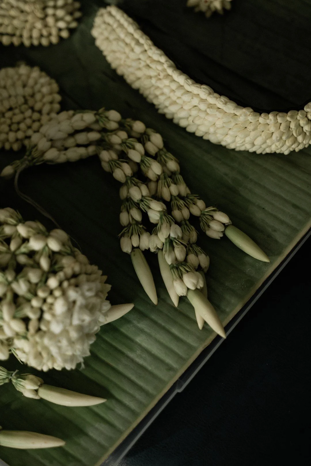 brambrigitta-444 (Large).jpg