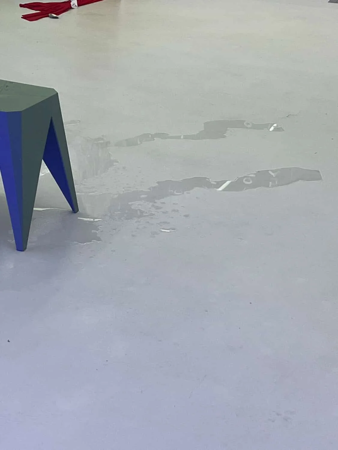 Sunscreen Even for Scales  2.JPG