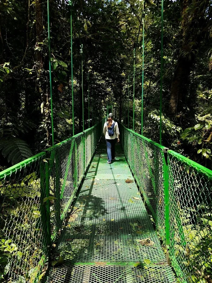 Hanging bridge Monteverde cloud forest Costa Rica