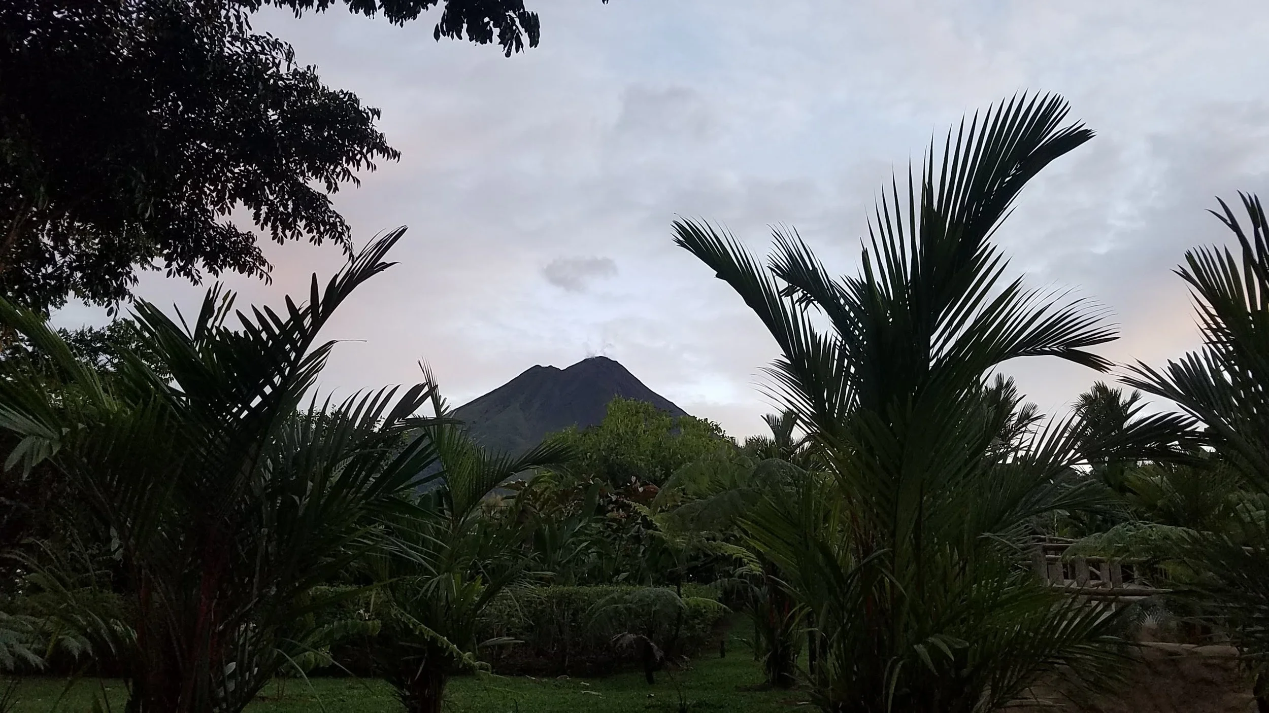 Arenal Volcano at dusk framed by palm trees near La Fortuna, Costa Rica