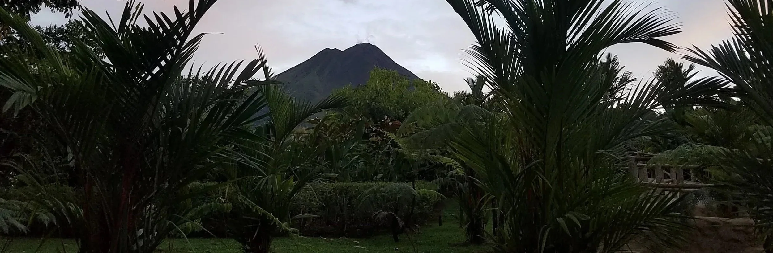 Arenal Volcano at dusk framed by palm trees, La Fortuna, Costa Rica