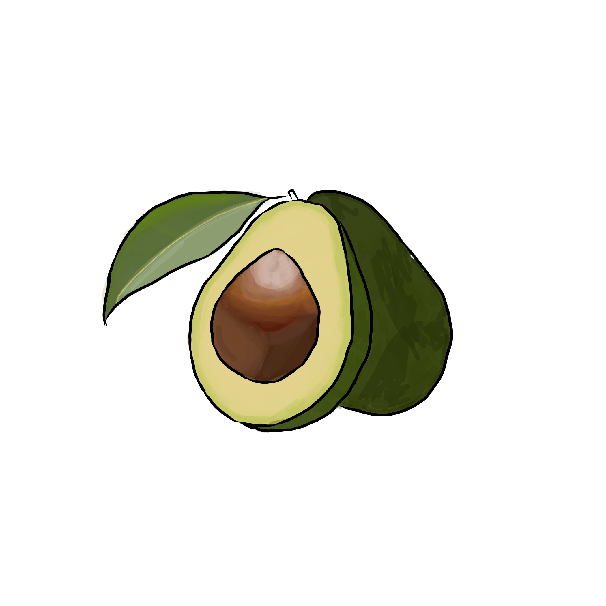 Sudden_avocado conflict.png