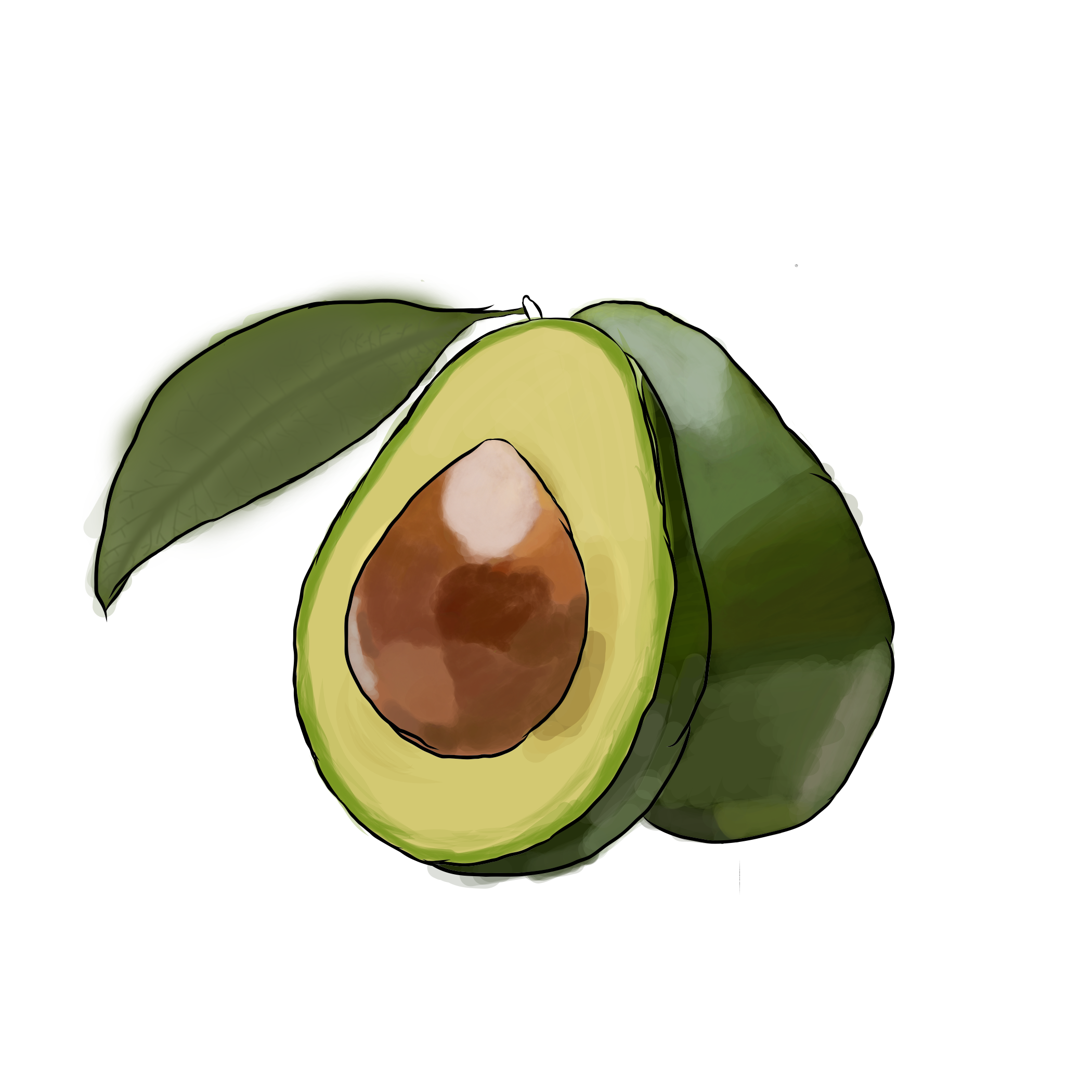 Salyon avacodo 2.png