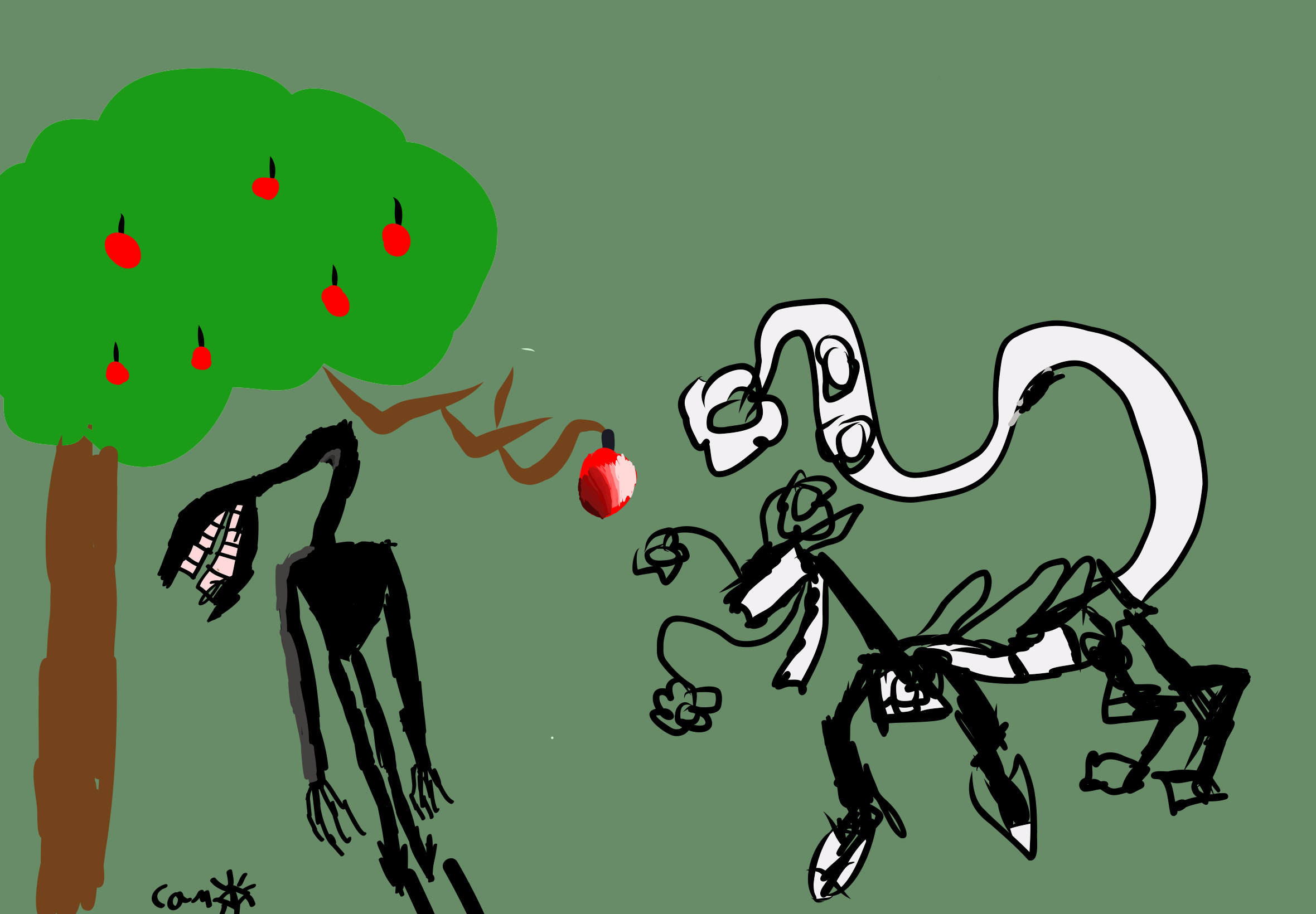 Camerin’s Tallman and aglor,s hannahaki (photographed 1967).png