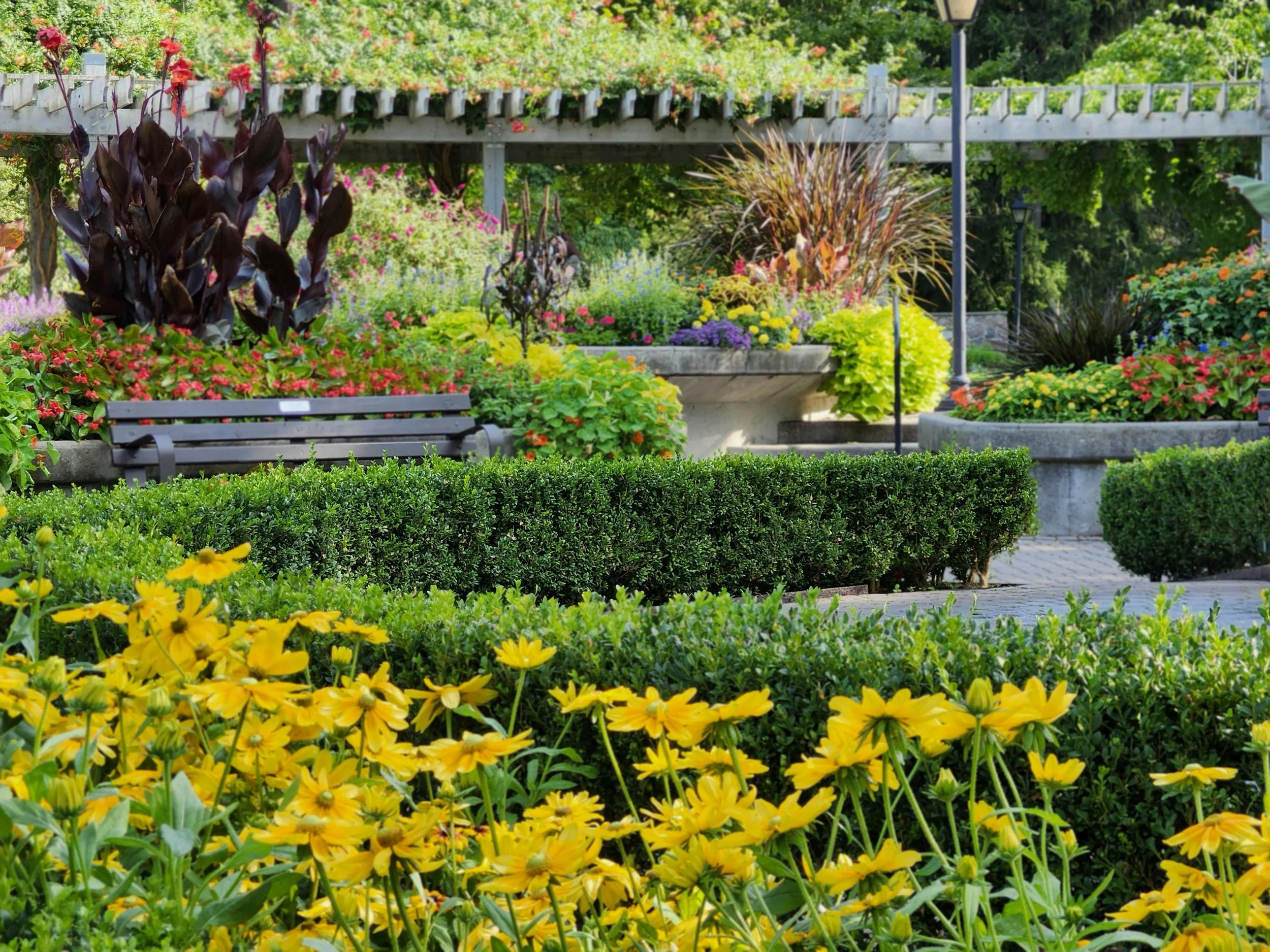 Trenger du hjelp til å planlegge hagen din?