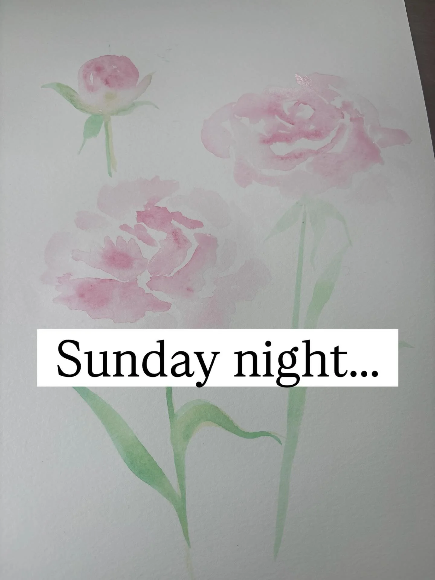 Sunday nights lately look like watercolor, my dogs nearby, and planning new classes and paintings for the weeks ahead.
Feeling very grateful for this little art business and everyone who supports it. 🎨🐾

#watercolorartist #smallartbusiness #artistl