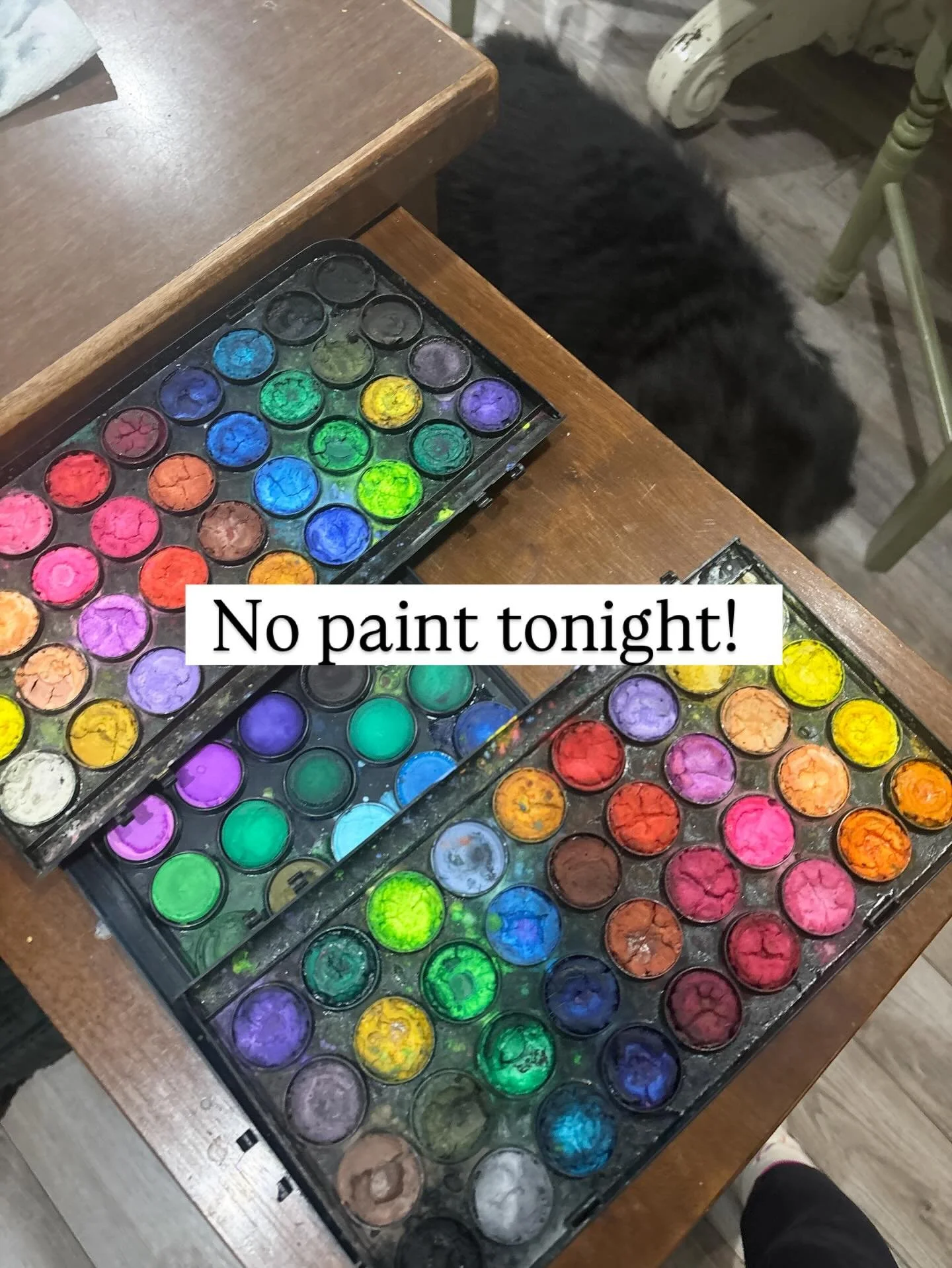 Some nights are for painting.
Some nights are for pajamas, dogs and doing absolutely nothing&hellip;#watercolor #petportrait #homepainting #watercolorclasses