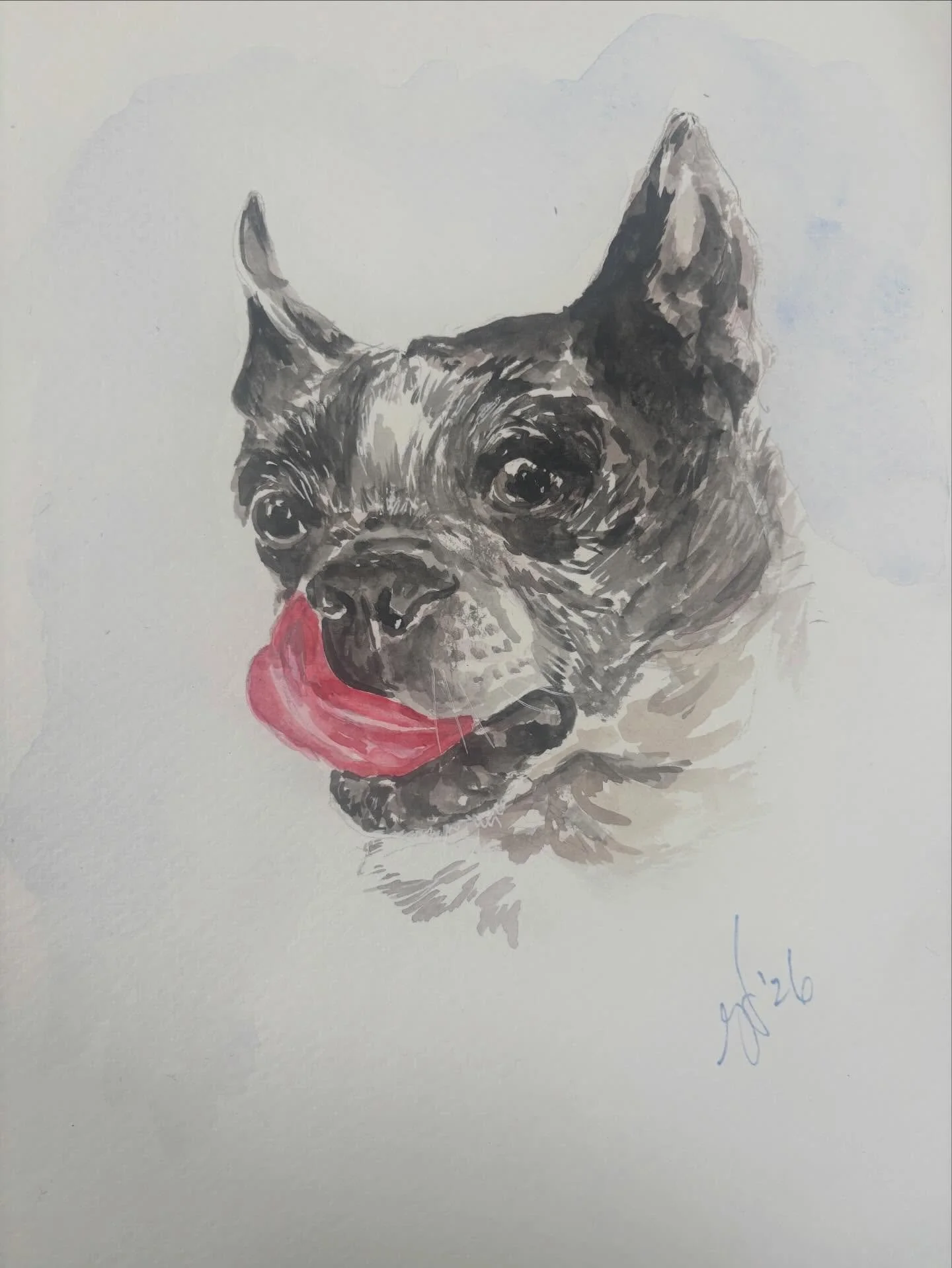3 of 3 🐶✨
Ending this sweet little trio with this lovable face! Every brushstroke is a reminder of how much personality and love our pets bring into our lives. Painting these pups has been such a joy 💛

If you&rsquo;ve been thinking about a custom 