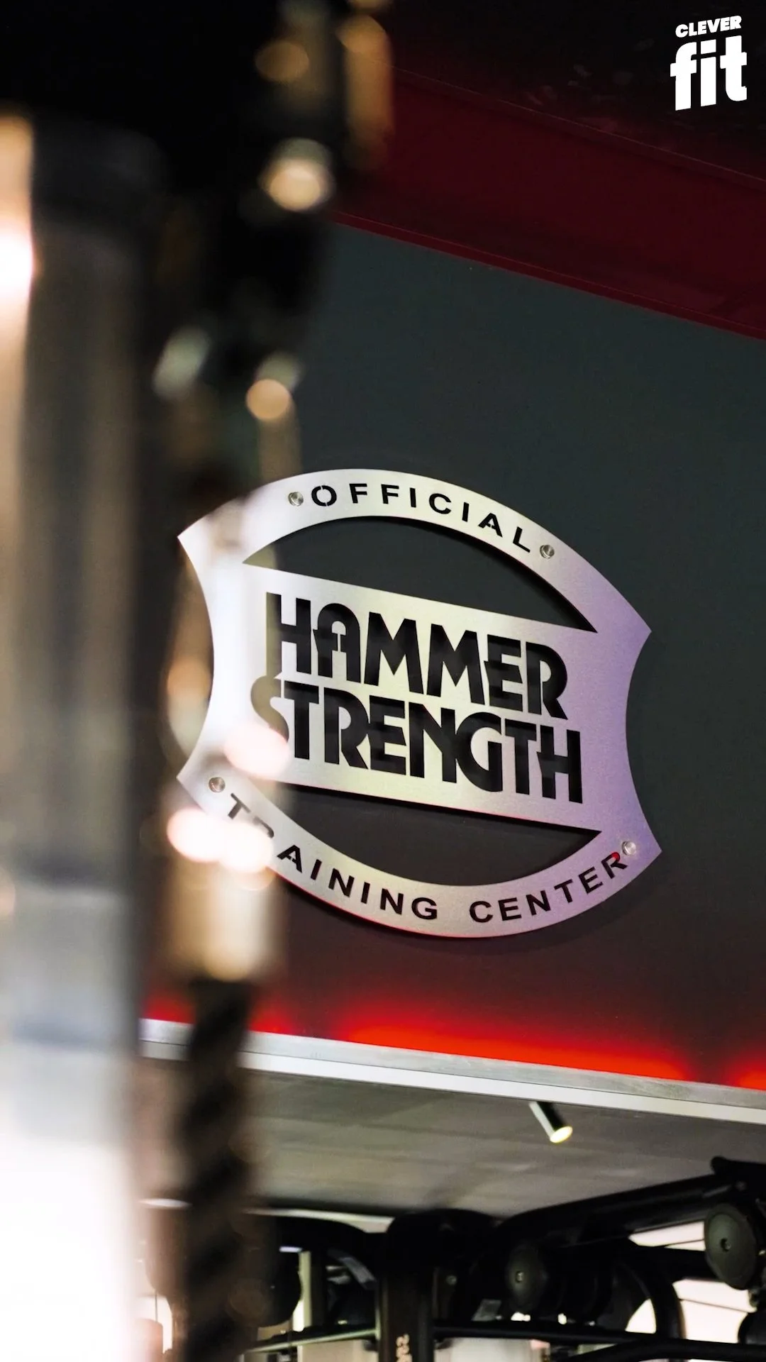 Designers Whey Protein Verpackungen, rosa, mit Aufschrift 'Whey Protein Complex'. Markenlogo oben. -Wismar-marketing.de