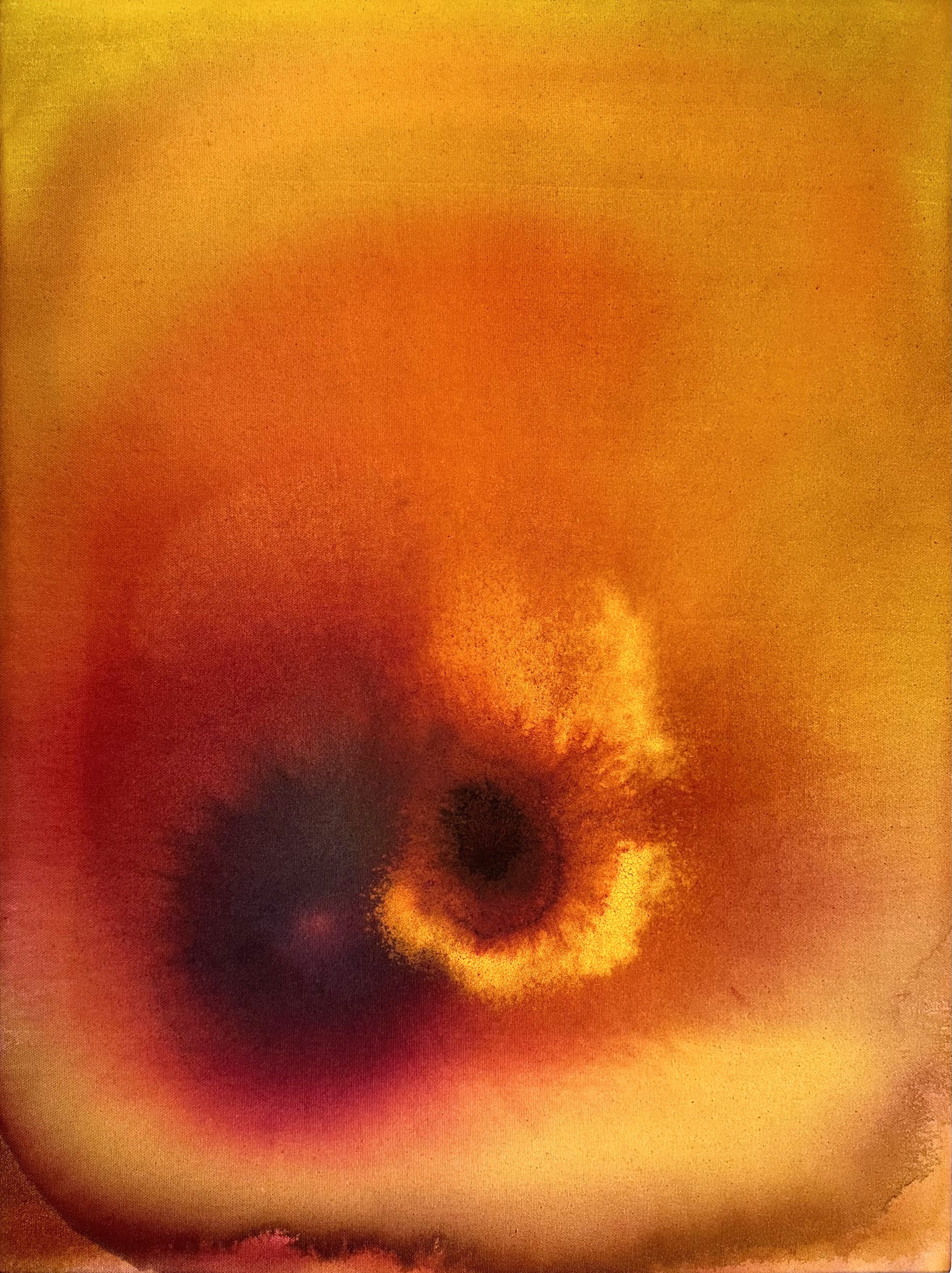 Untitled #49 |
18" X 24" |
Beetroot extract, turmeric extract and turmeric powder on raw canvas