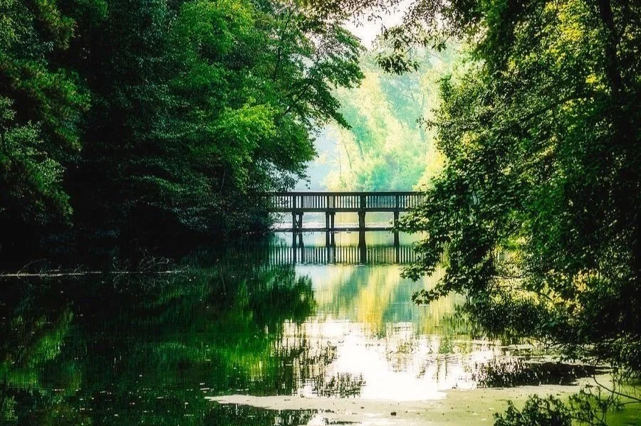 Liberating Ourselves from Conditioned Views