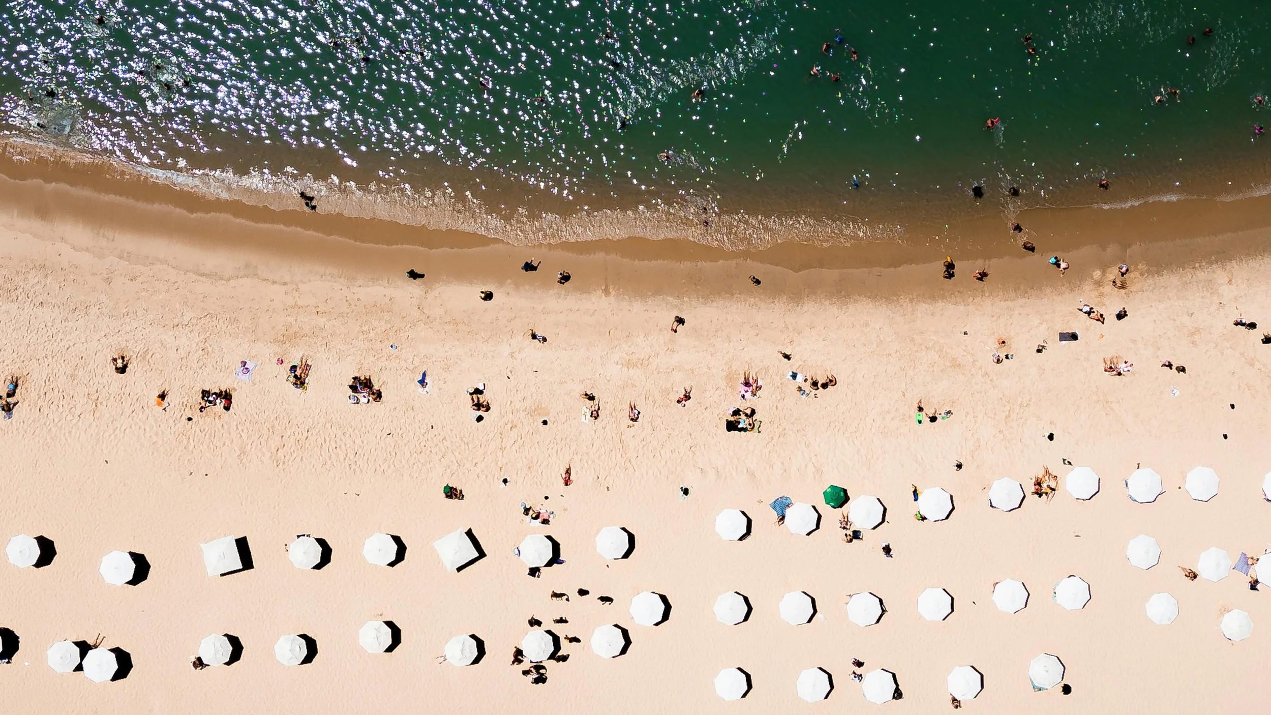 The New Productivity Hack: Disconnect to Perform Better